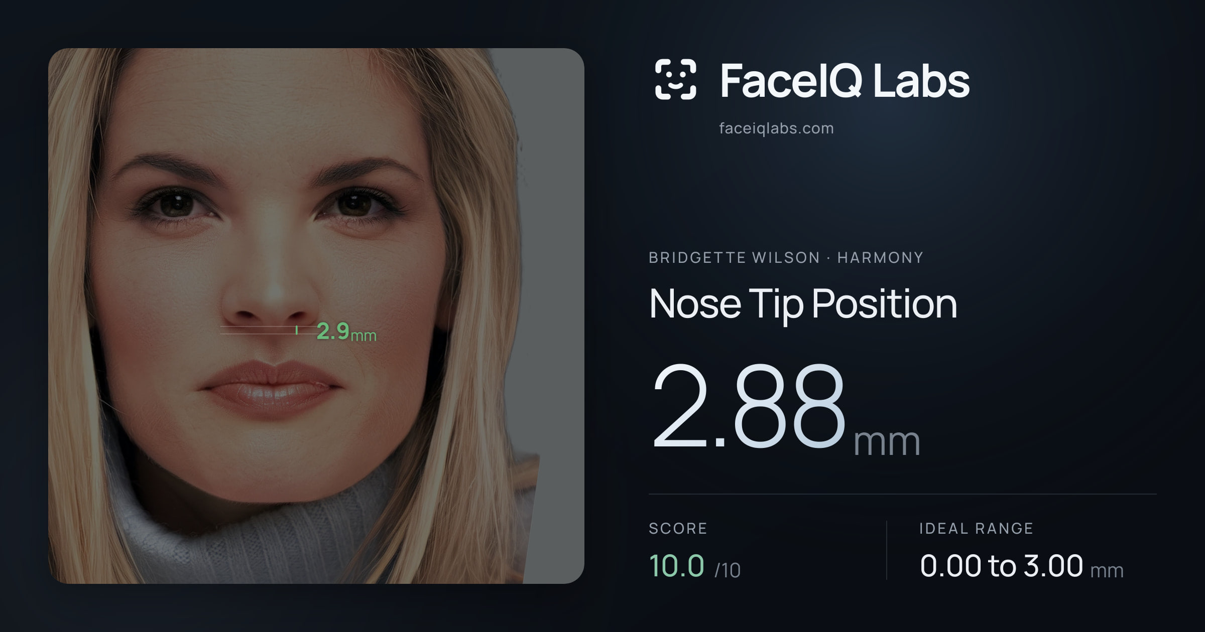 Bridgette Wilson Nose Tip Position: 2.88mm, drawn on the photo
