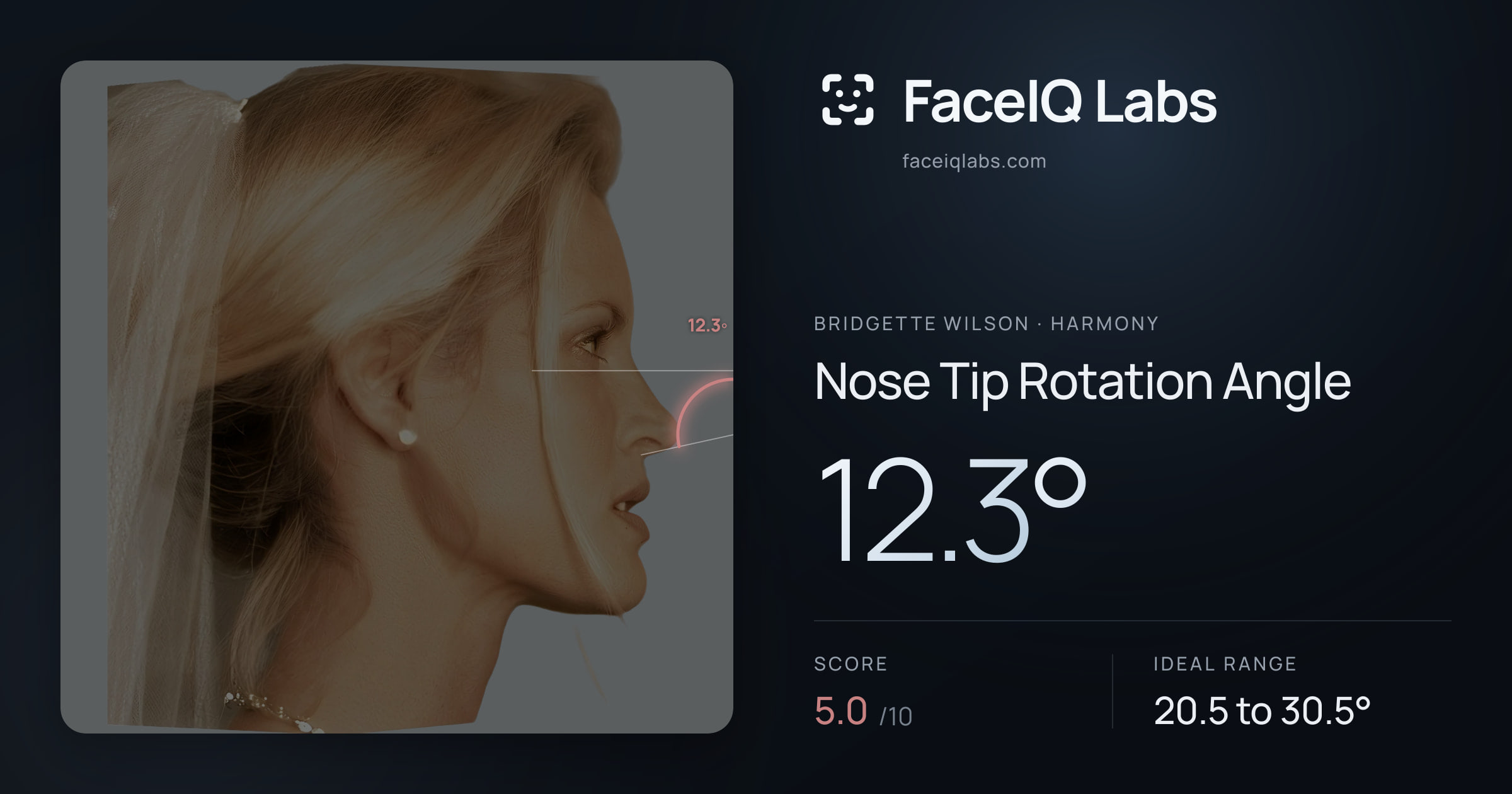 Bridgette Wilson Nose Tip Rotation Angle: 12.3°, drawn on the photo