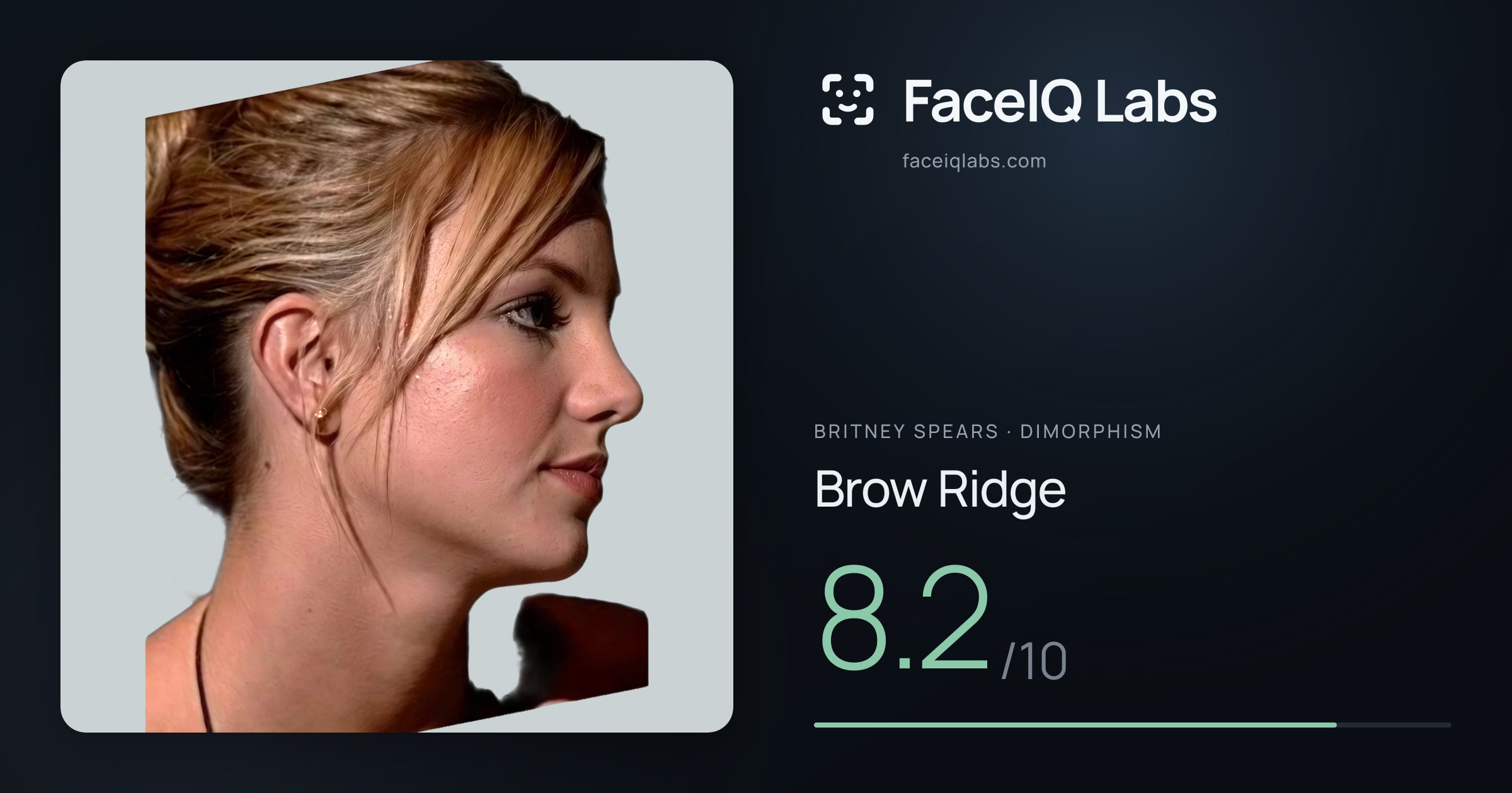 Britney Spears Brow Ridge: 8.2/10, drawn on the photo