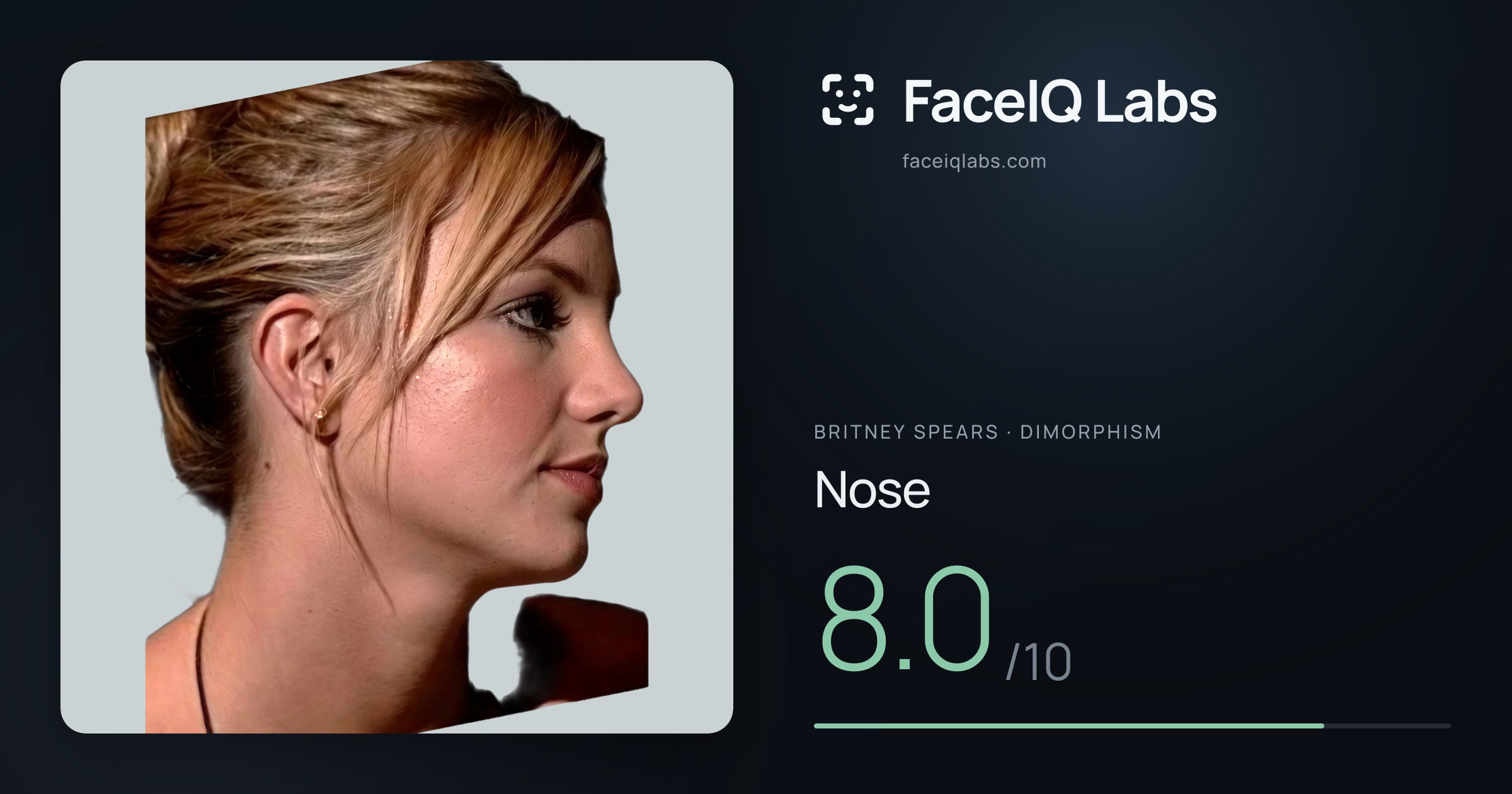 Britney Spears Nose: 8.0/10, drawn on the photo