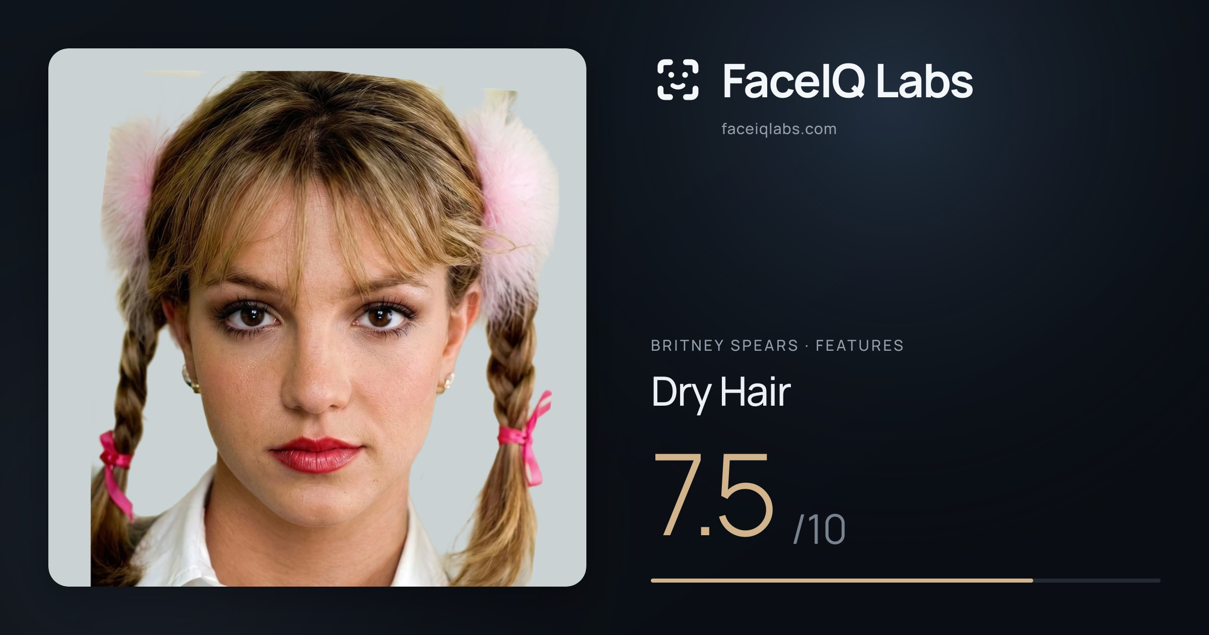 Britney Spears Dry Hair: 7.5/10, drawn on the photo