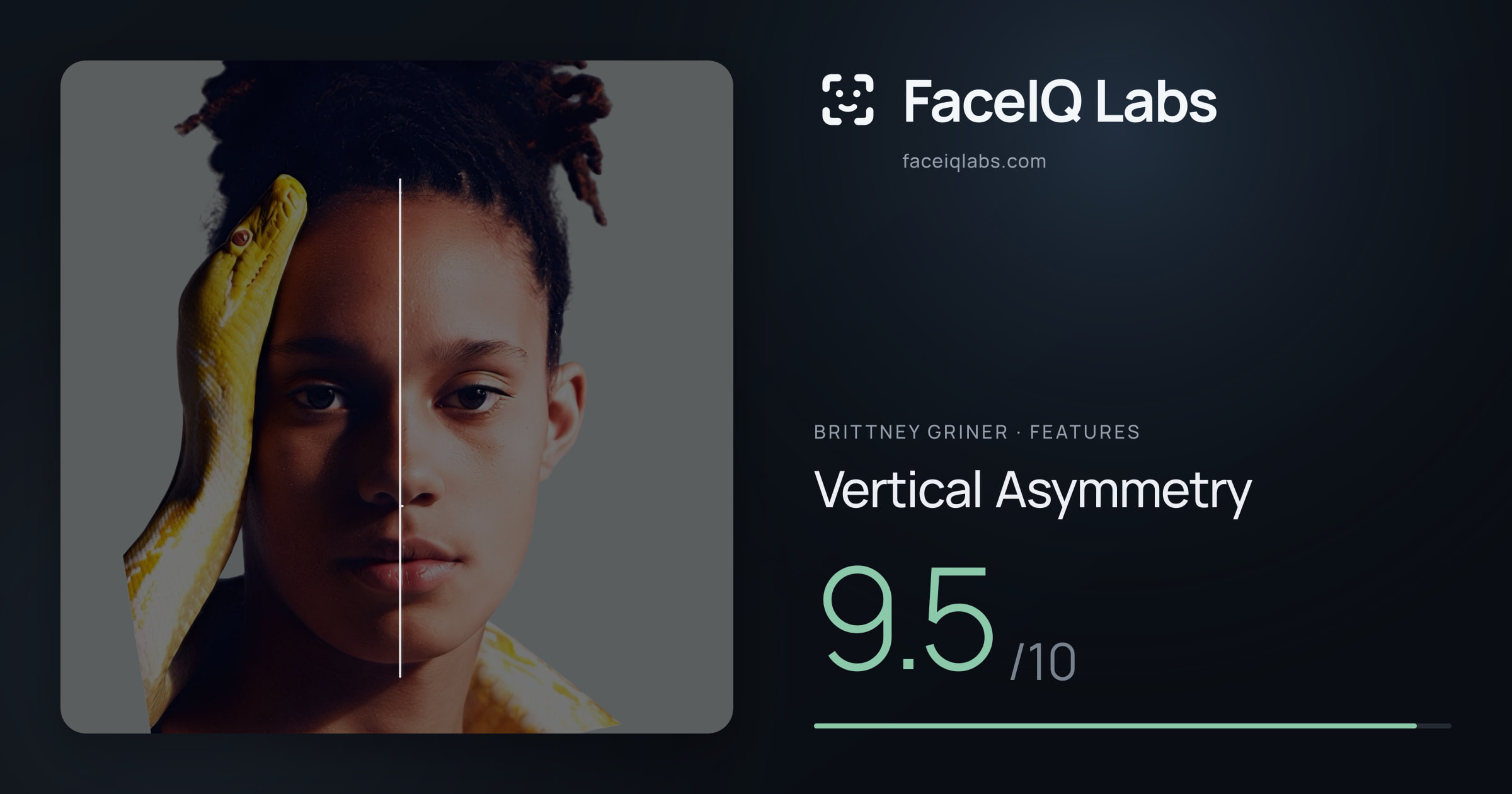 Brittney Griner Vertical Asymmetry: 9.5/10, drawn on the photo