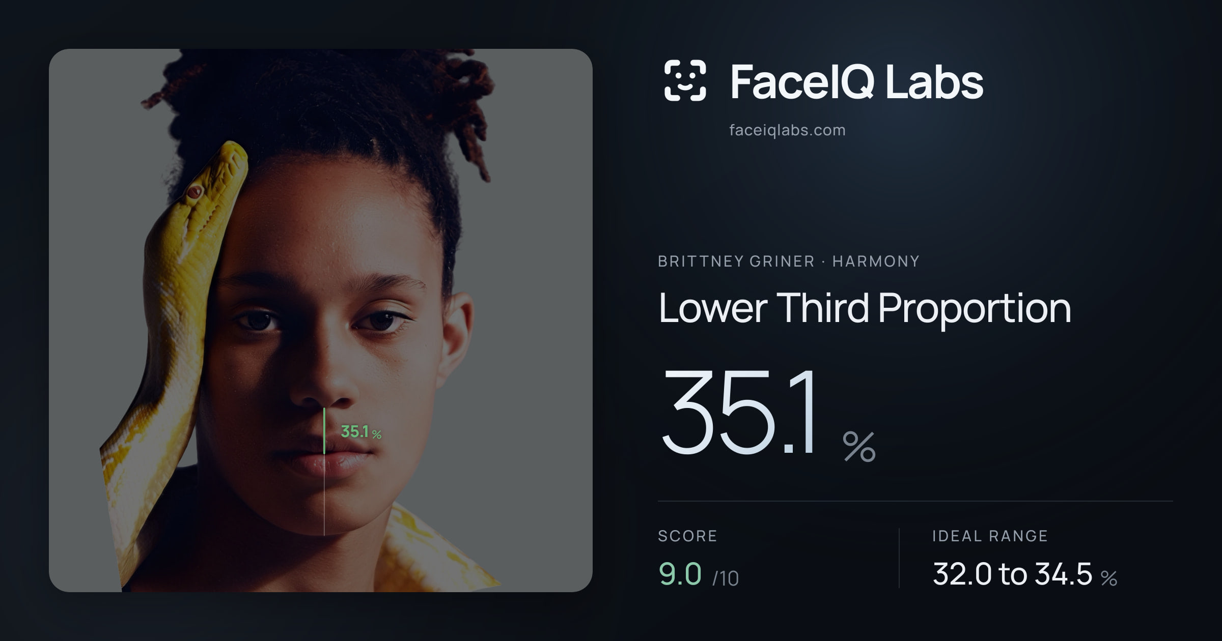 Brittney Griner Lower Third Proportion: 35.1%, drawn on the photo