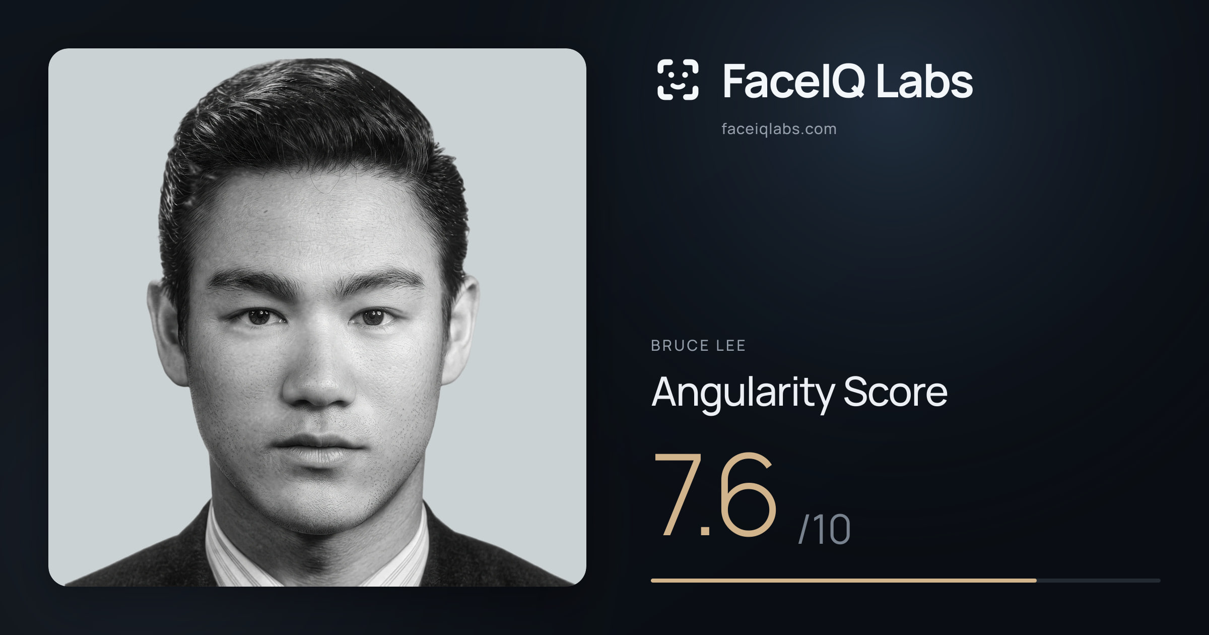 Bruce Lee Angularity: 7.6/10, with each assessment drawn on the photo