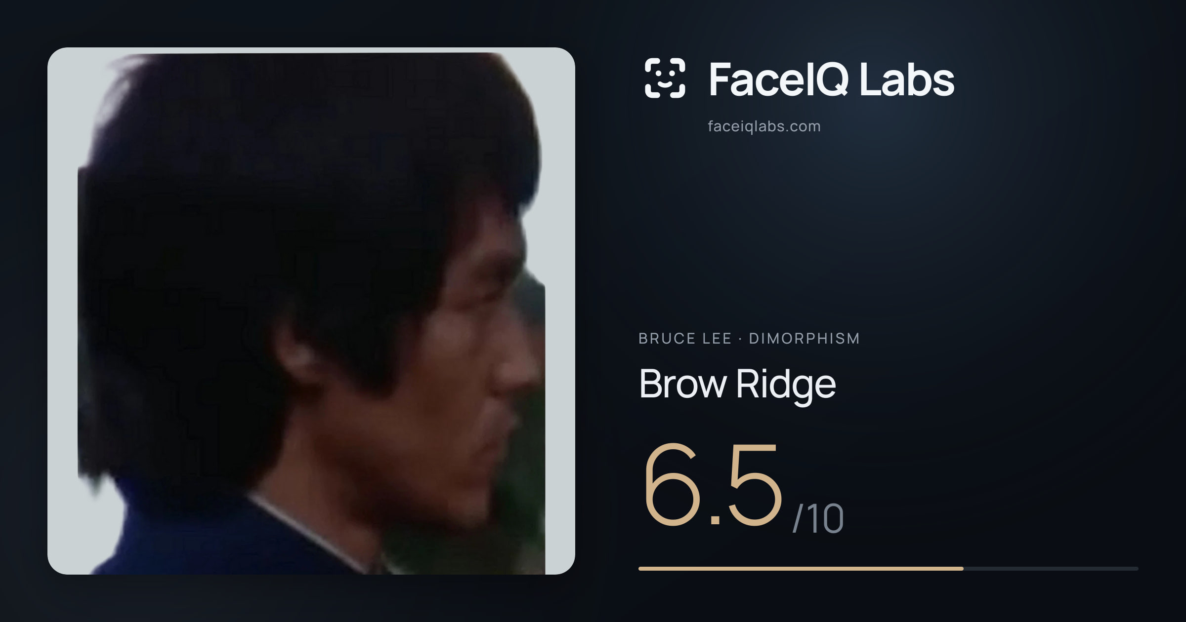 Bruce Lee Brow Ridge: 6.5/10, drawn on the photo