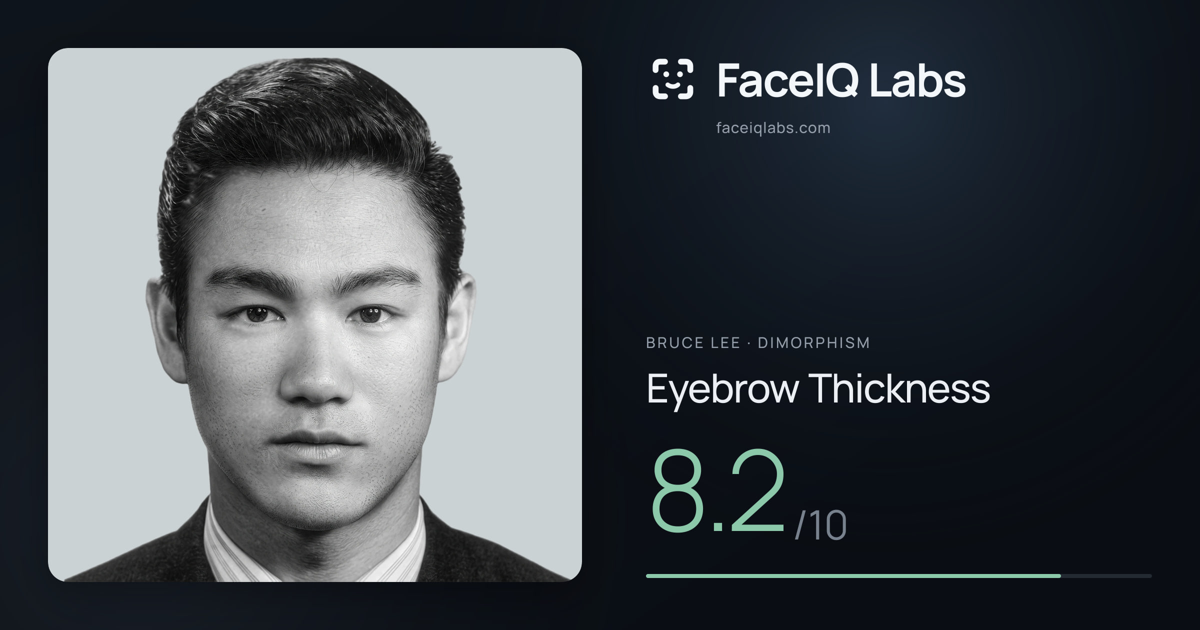 Bruce Lee Eyebrow Thickness: 8.2/10, drawn on the photo