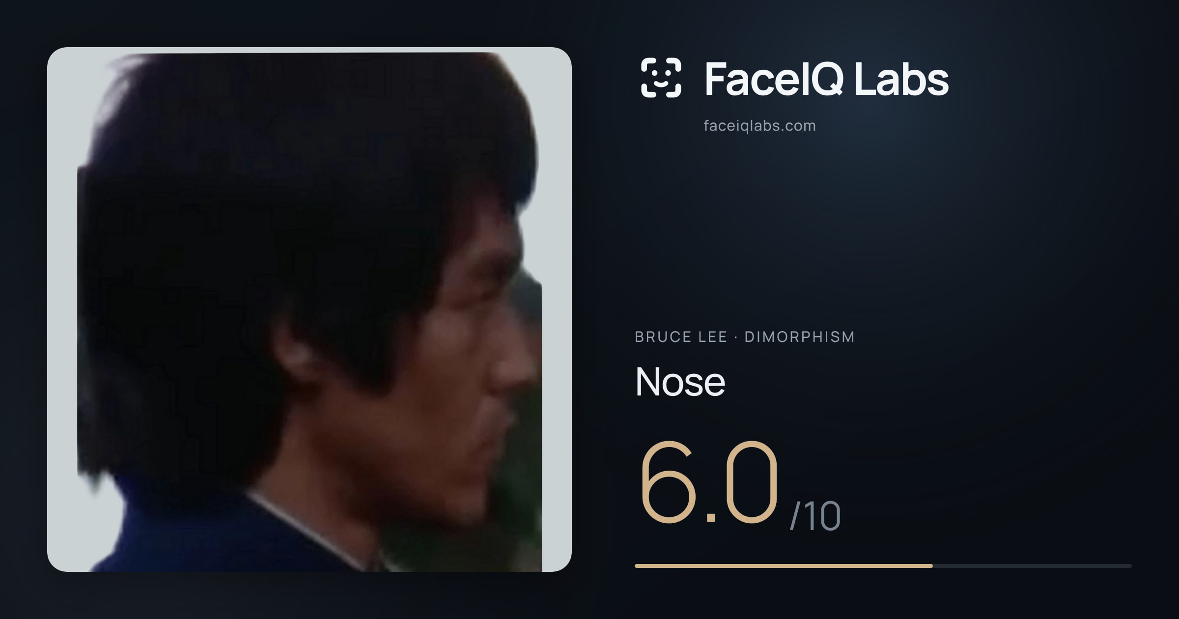 Bruce Lee Nose: 6.0/10, drawn on the photo