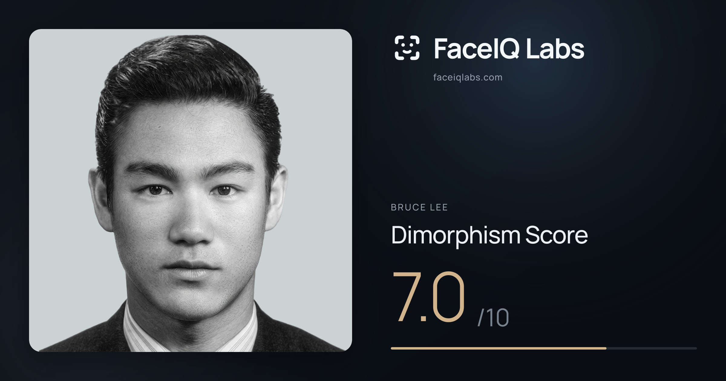 Bruce Lee Dimorphism: 7.0/10, with each assessment drawn on the photo