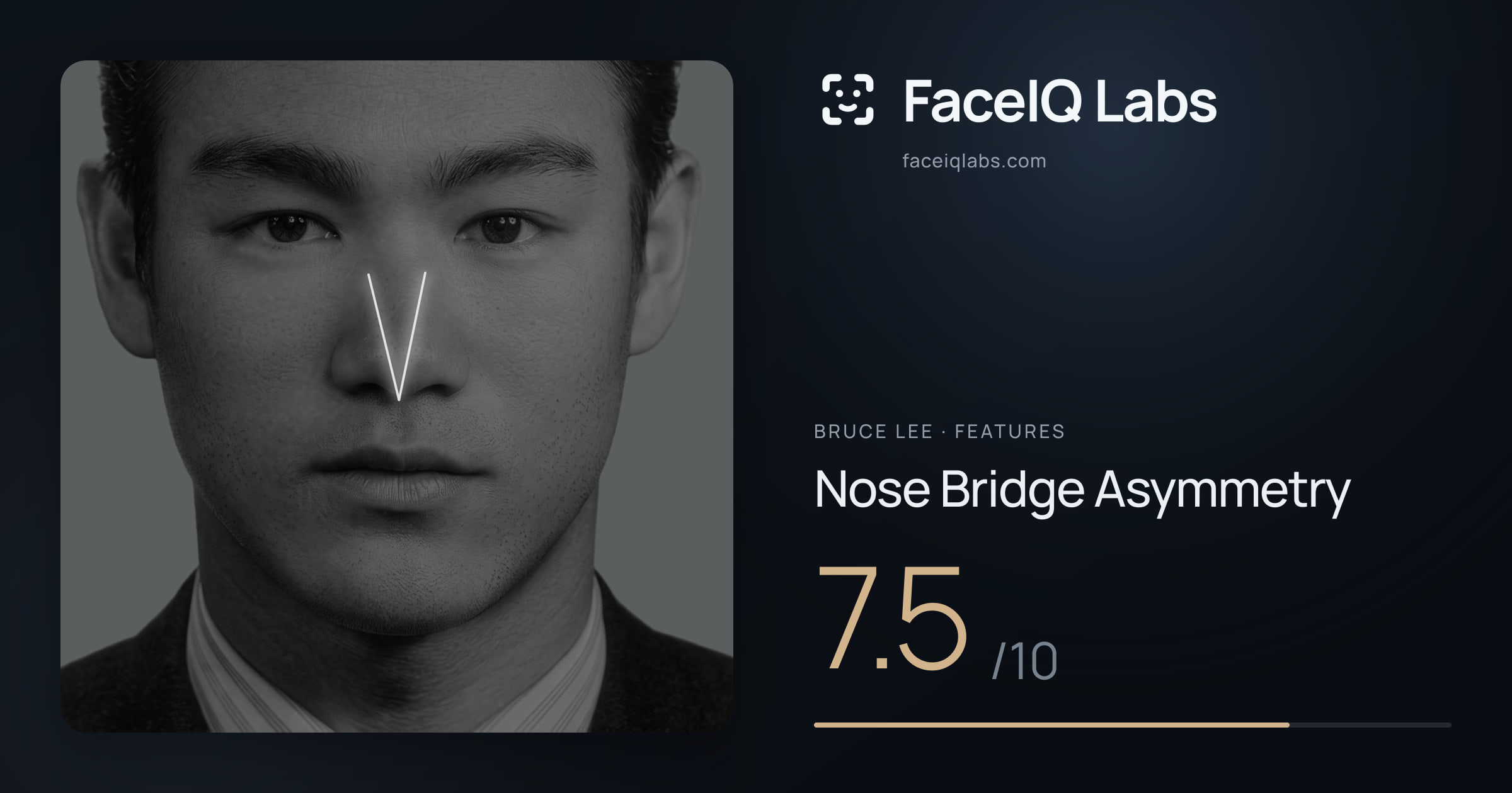 Bruce Lee Nose Bridge Asymmetry: 7.5/10, drawn on the photo