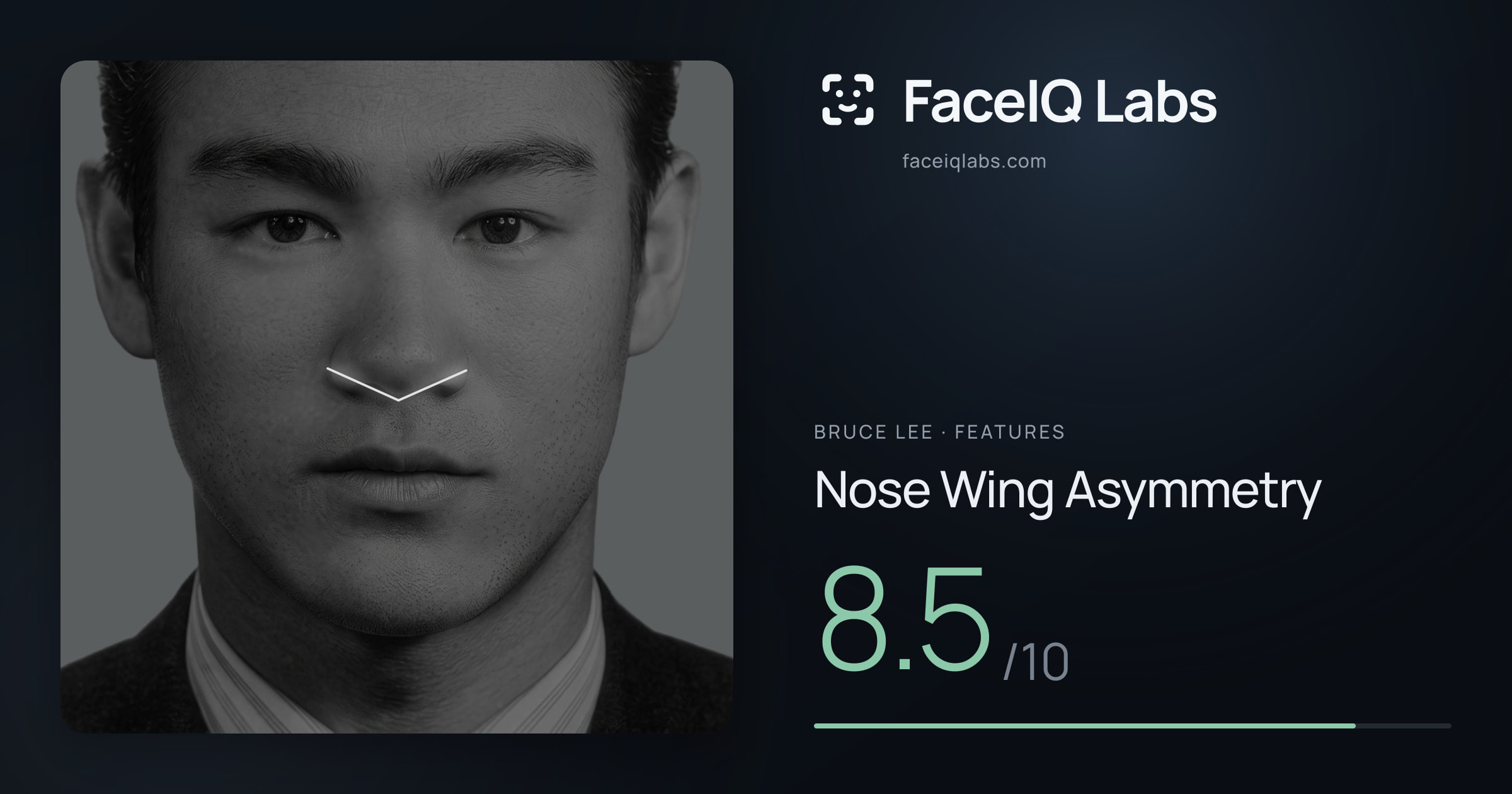 Bruce Lee Nose Wing Asymmetry: 8.5/10, drawn on the photo
