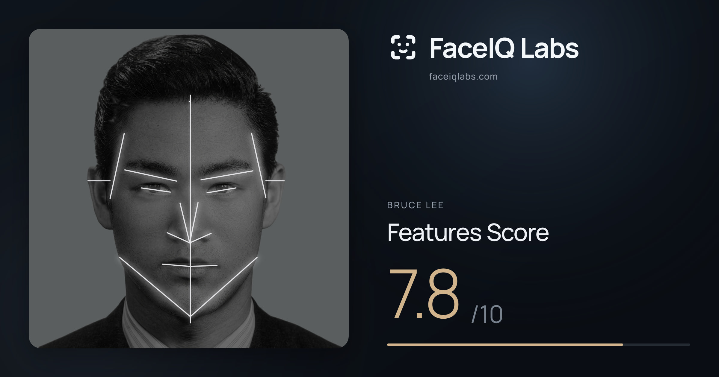Bruce Lee Features: 7.8/10, with each assessment drawn on the photo