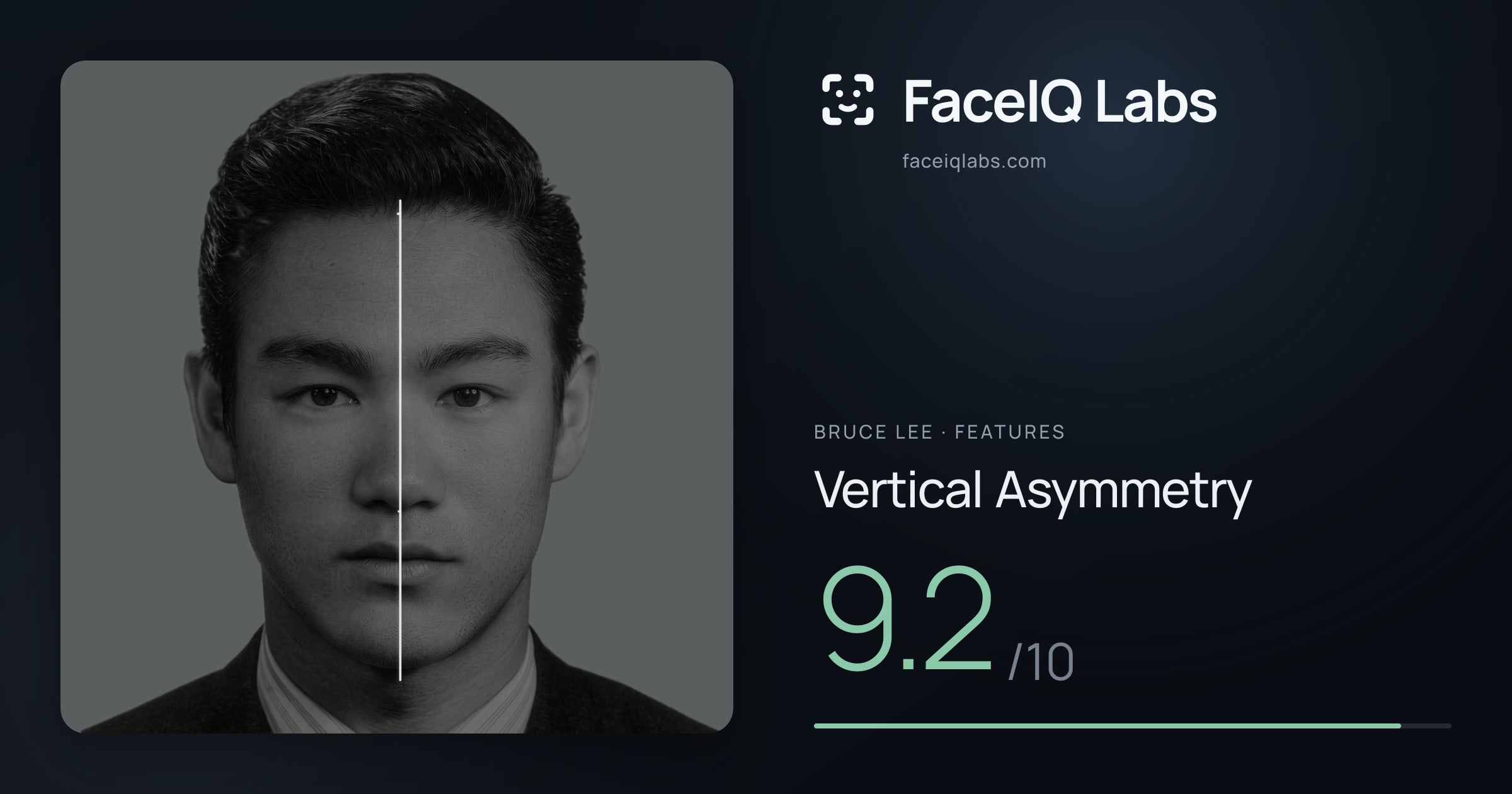 Bruce Lee Vertical Asymmetry: 9.2/10, drawn on the photo