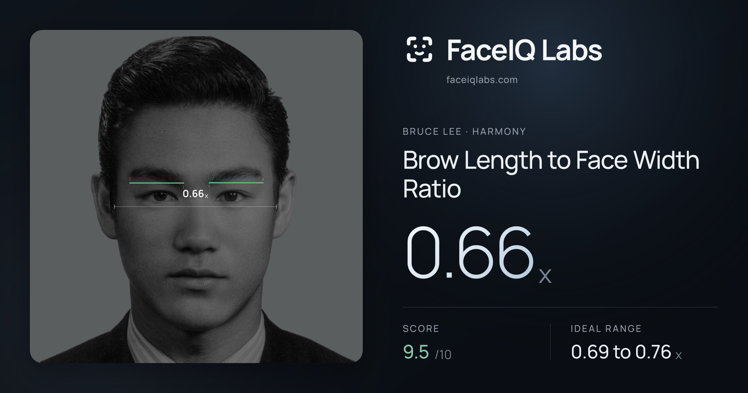Bruce Lee Brow Length to Face Width Ratio: 0.66x, drawn on the photo