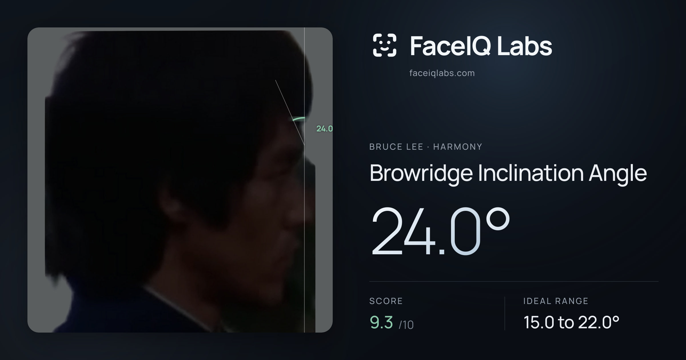 Bruce Lee Browridge Inclination Angle: 24.0°, drawn on the photo