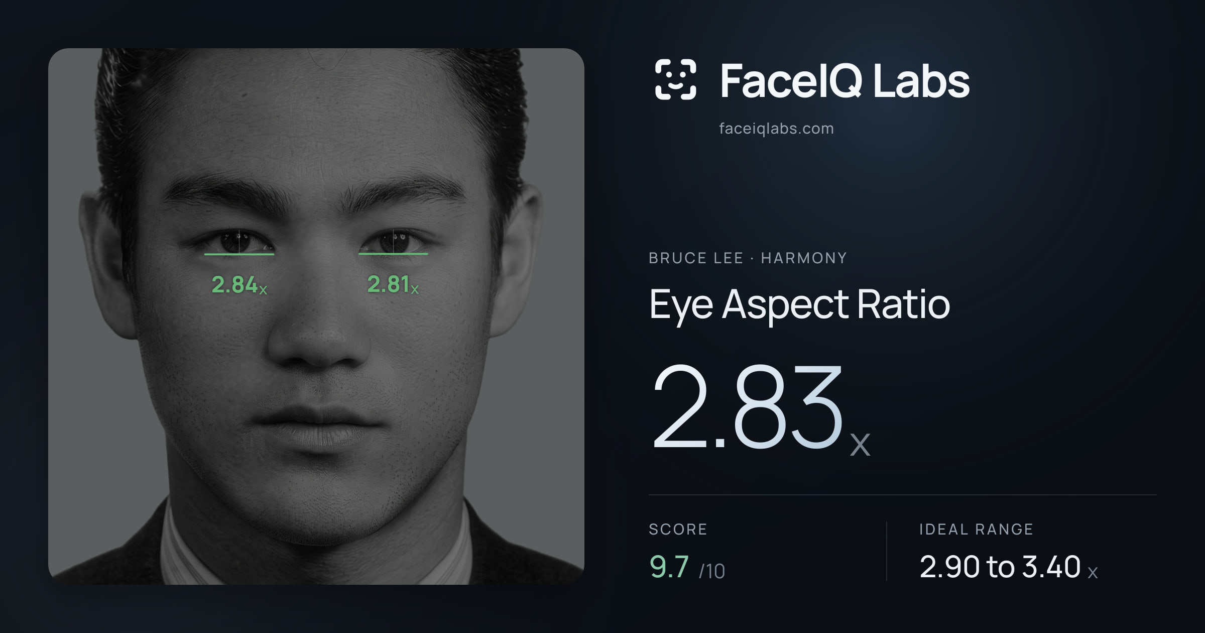 Bruce Lee Eye Aspect Ratio: 2.83x, drawn on the photo