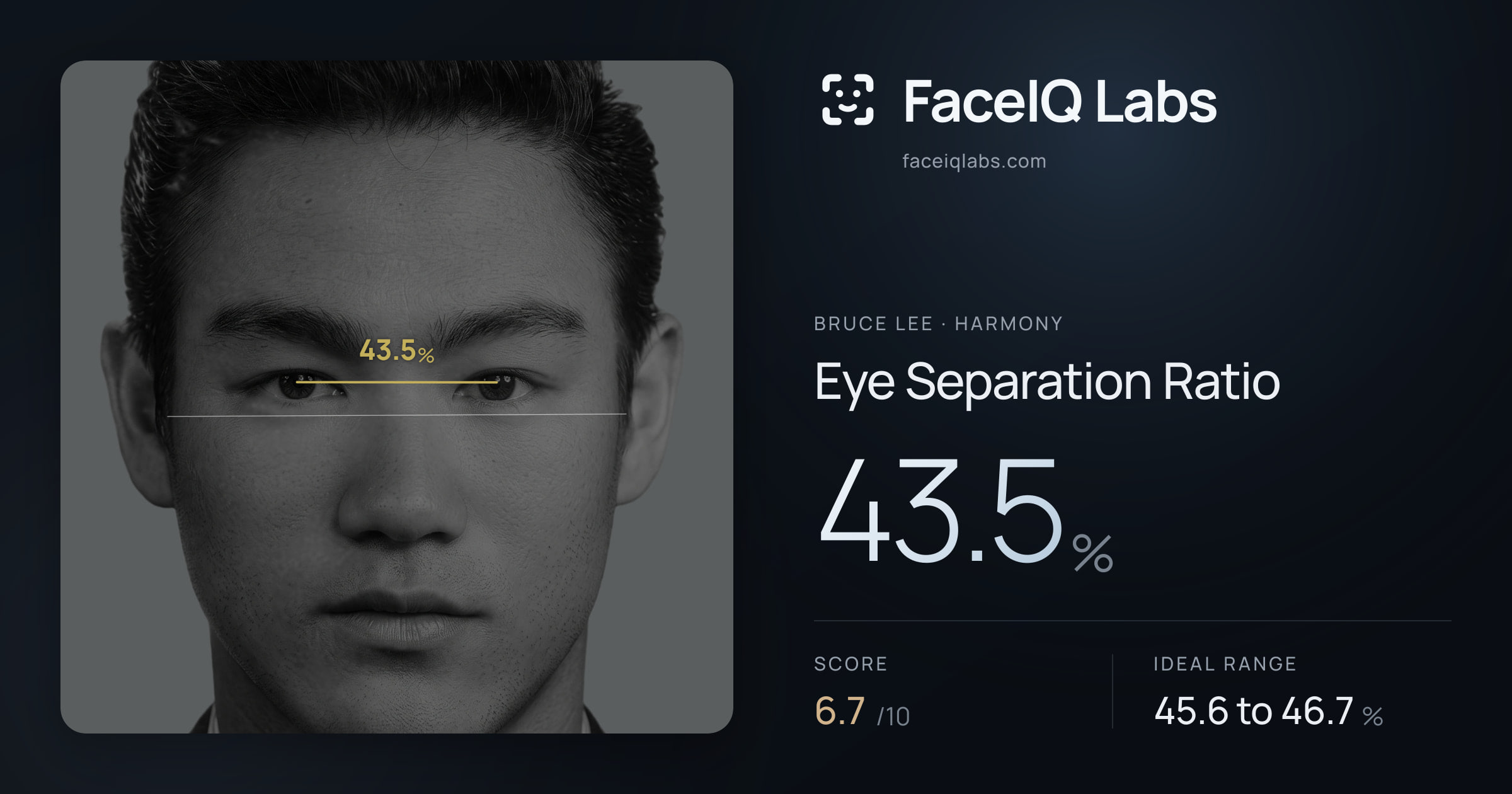 Bruce Lee Eye Separation Ratio: 43.5%, drawn on the photo