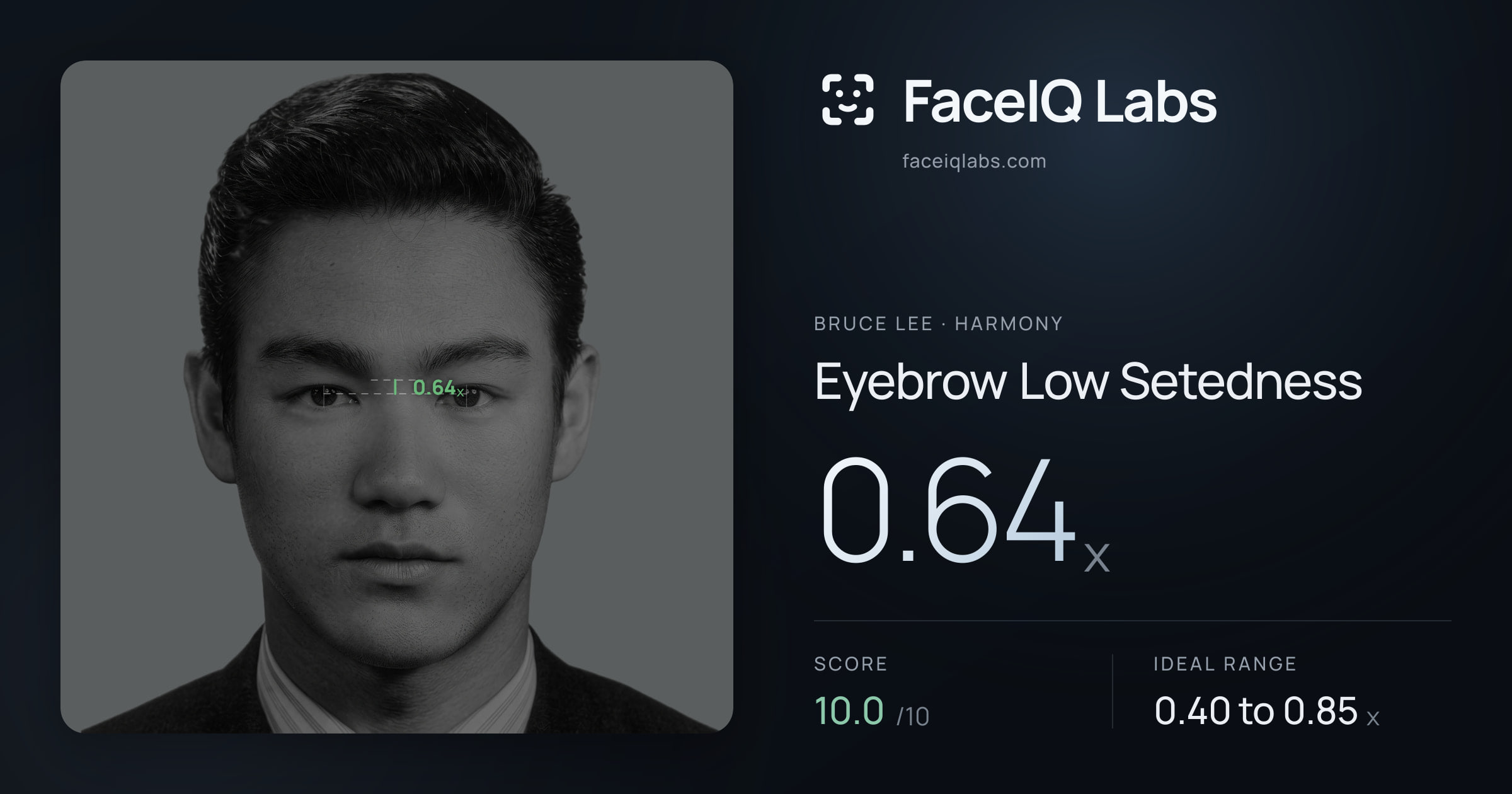 Bruce Lee Eyebrow Low Setedness: 0.64x, drawn on the photo