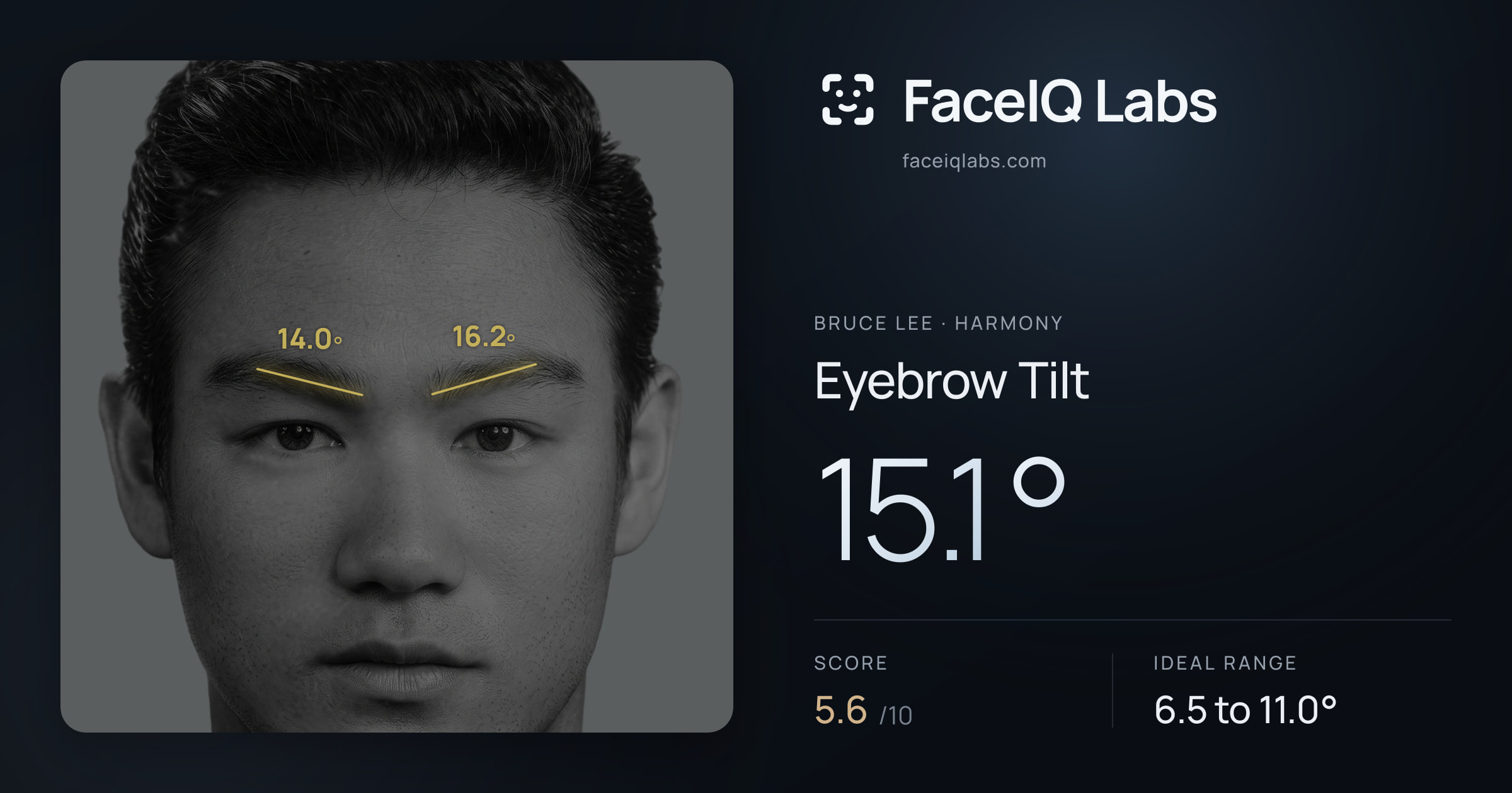 Bruce Lee Eyebrow Tilt: 15.1°, drawn on the photo