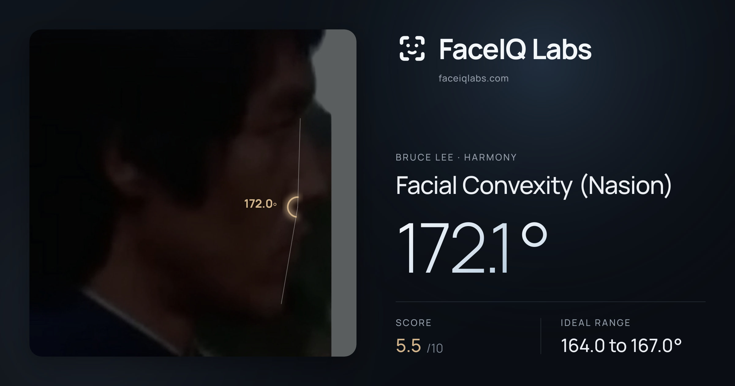 Bruce Lee Facial Convexity (Nasion): 172.1°, drawn on the photo