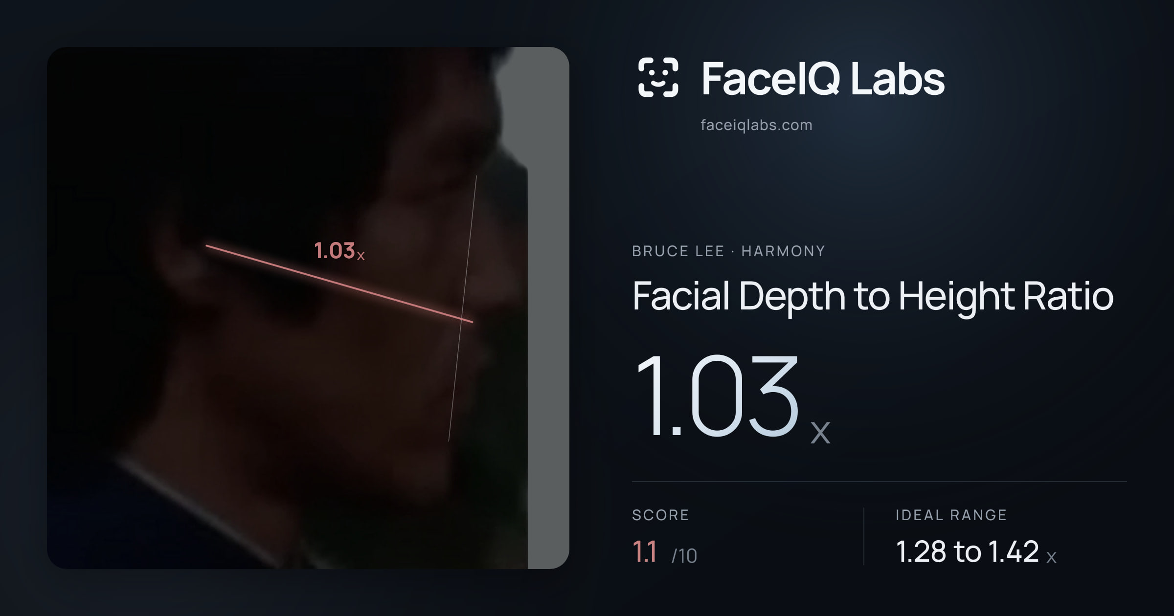 Bruce Lee Facial Depth to Height Ratio: 1.03x, drawn on the photo