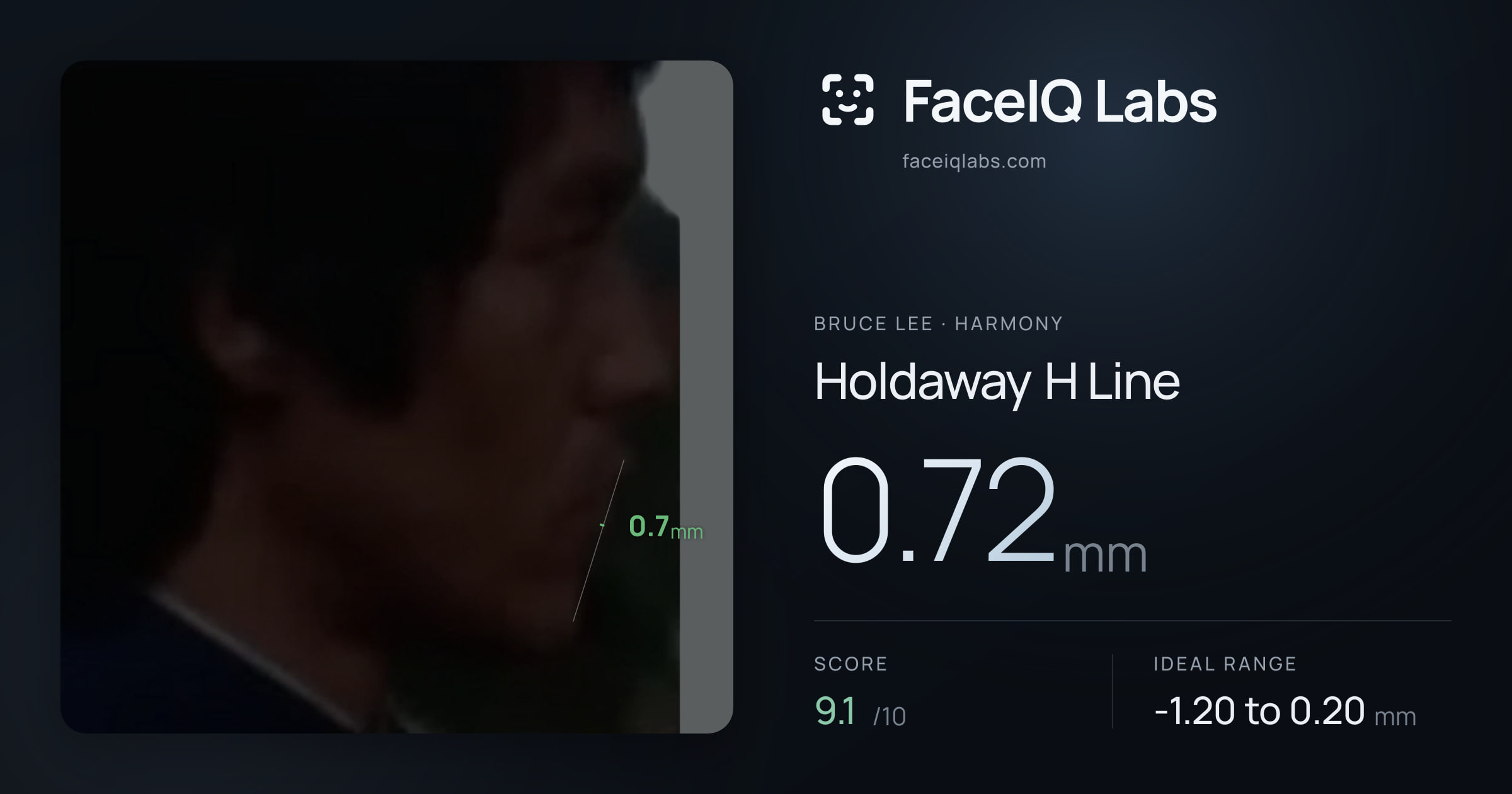 Bruce Lee Holdaway H Line: 0.72mm, drawn on the photo