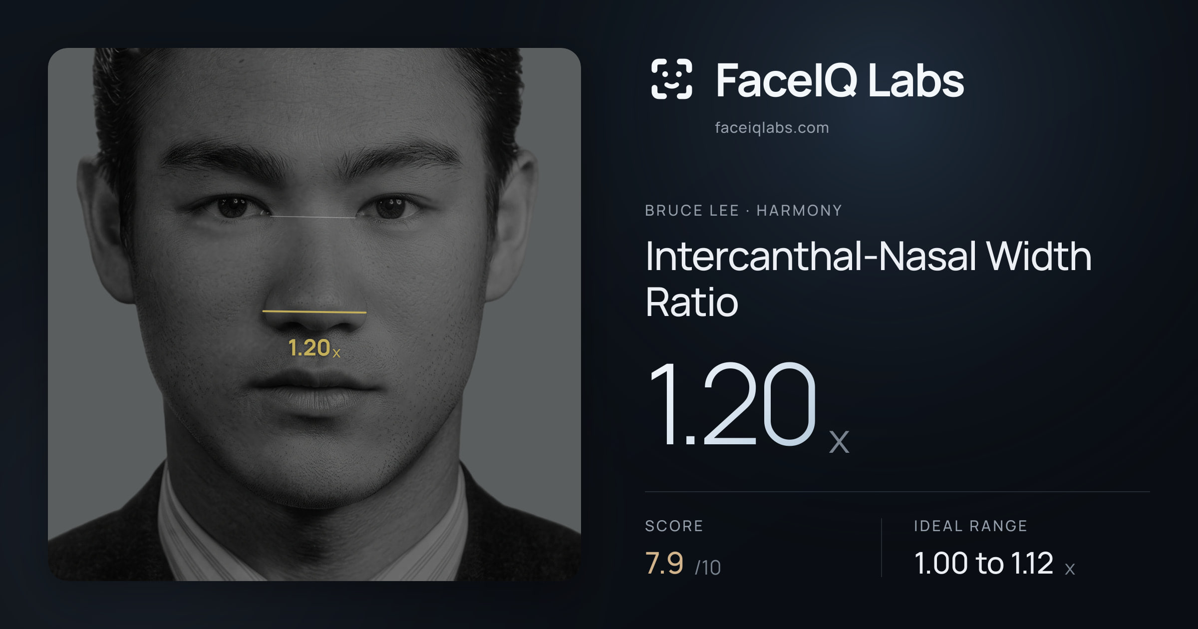 Bruce Lee Intercanthal-Nasal Width Ratio: 1.20x, drawn on the photo