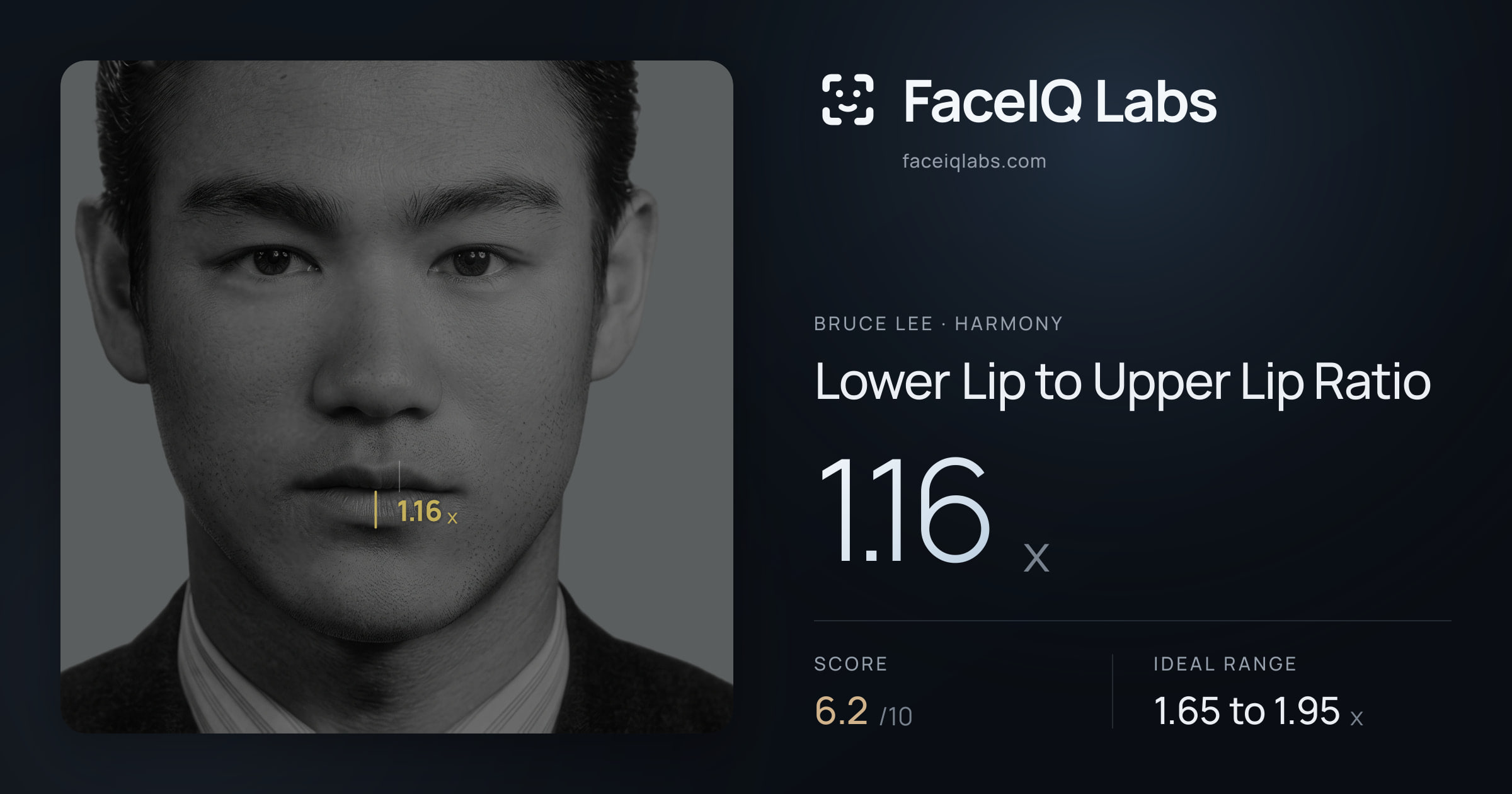 Bruce Lee Lower Lip to Upper Lip Ratio: 1.16x, drawn on the photo
