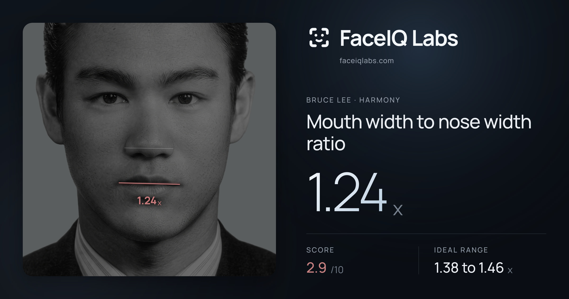 Bruce Lee Mouth width to nose width ratio: 1.24x, drawn on the photo