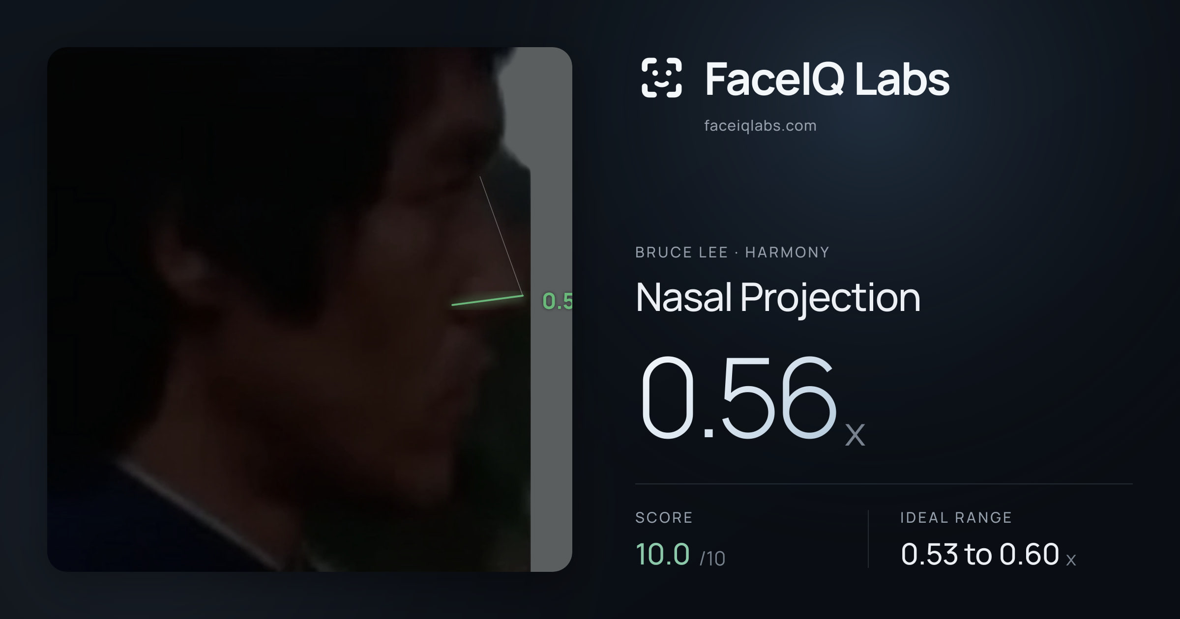 Bruce Lee Nasal Projection: 0.56x, drawn on the photo