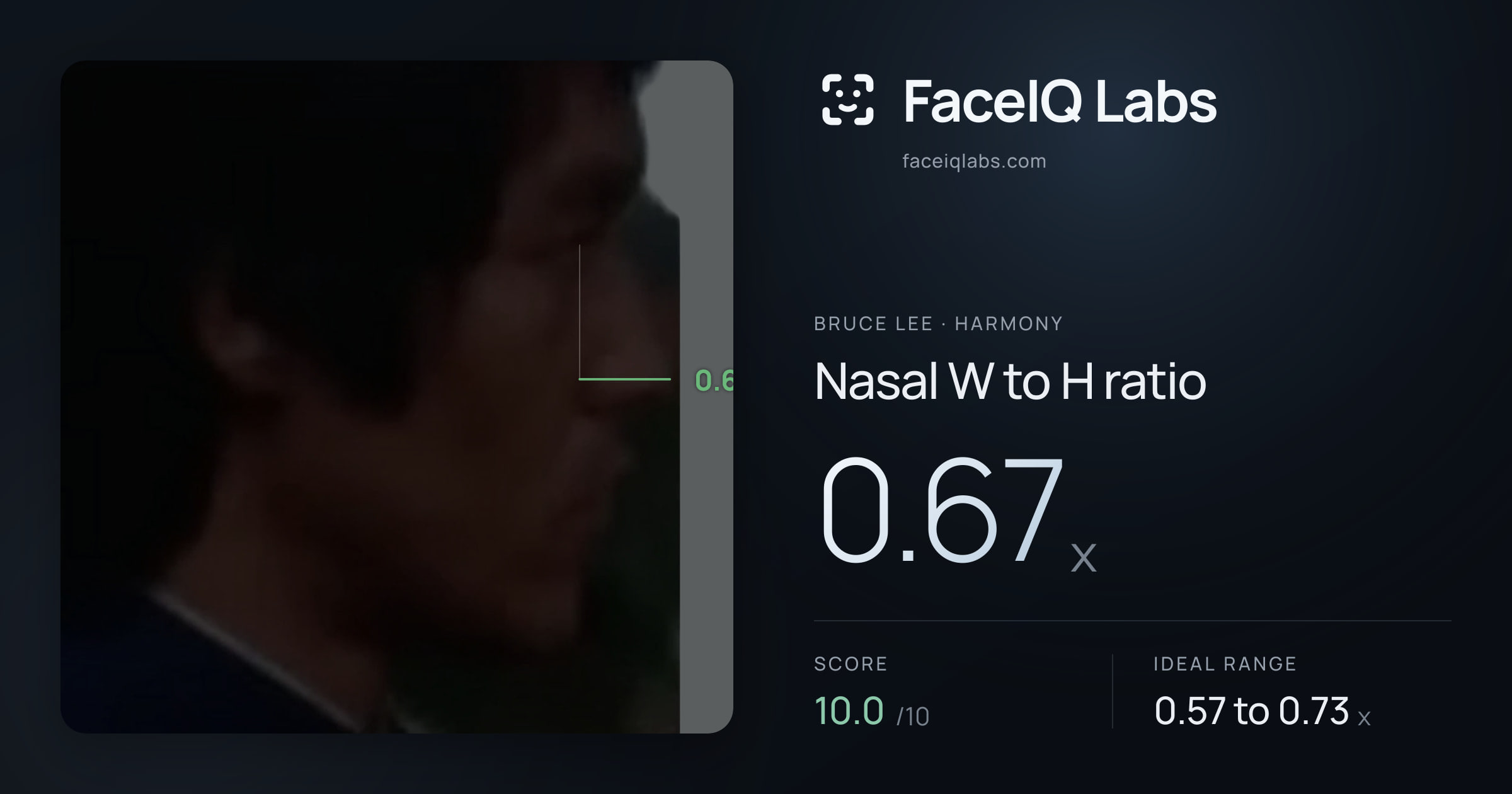 Bruce Lee Nasal W to H ratio: 0.67x, drawn on the photo