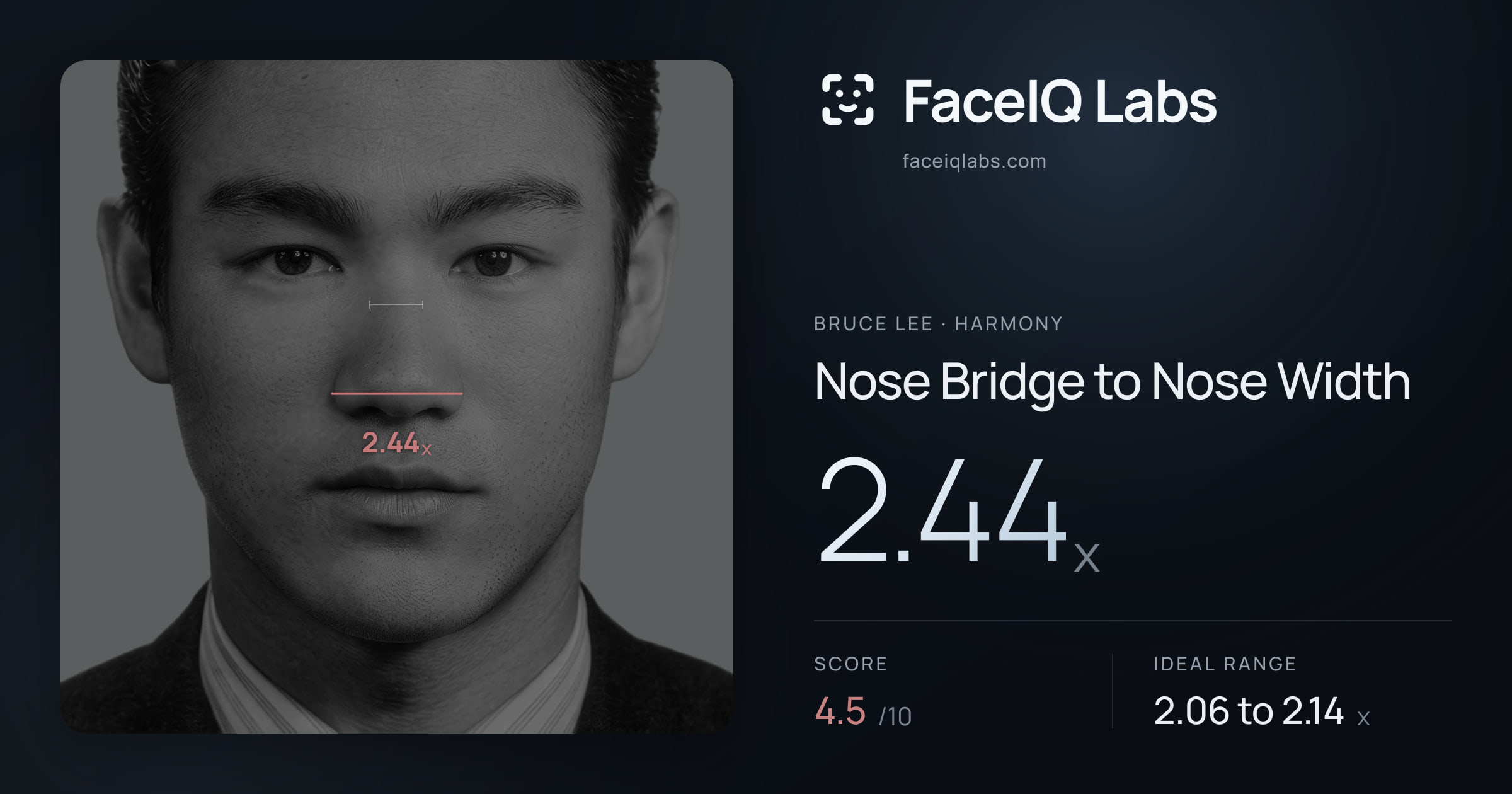 Bruce Lee Nose Bridge to Nose Width: 2.44x, drawn on the photo