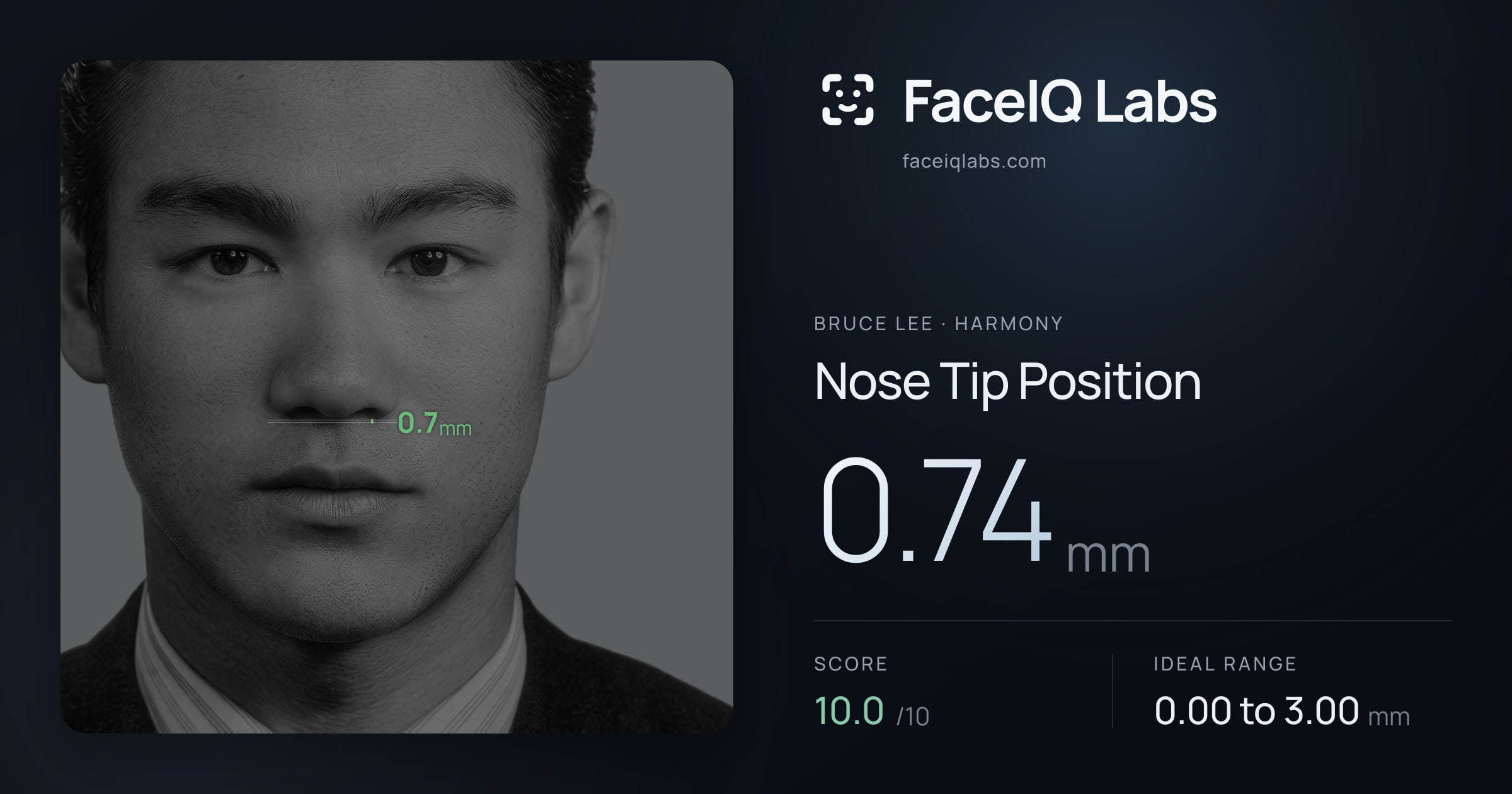 Bruce Lee Nose Tip Position: 0.74mm, drawn on the photo