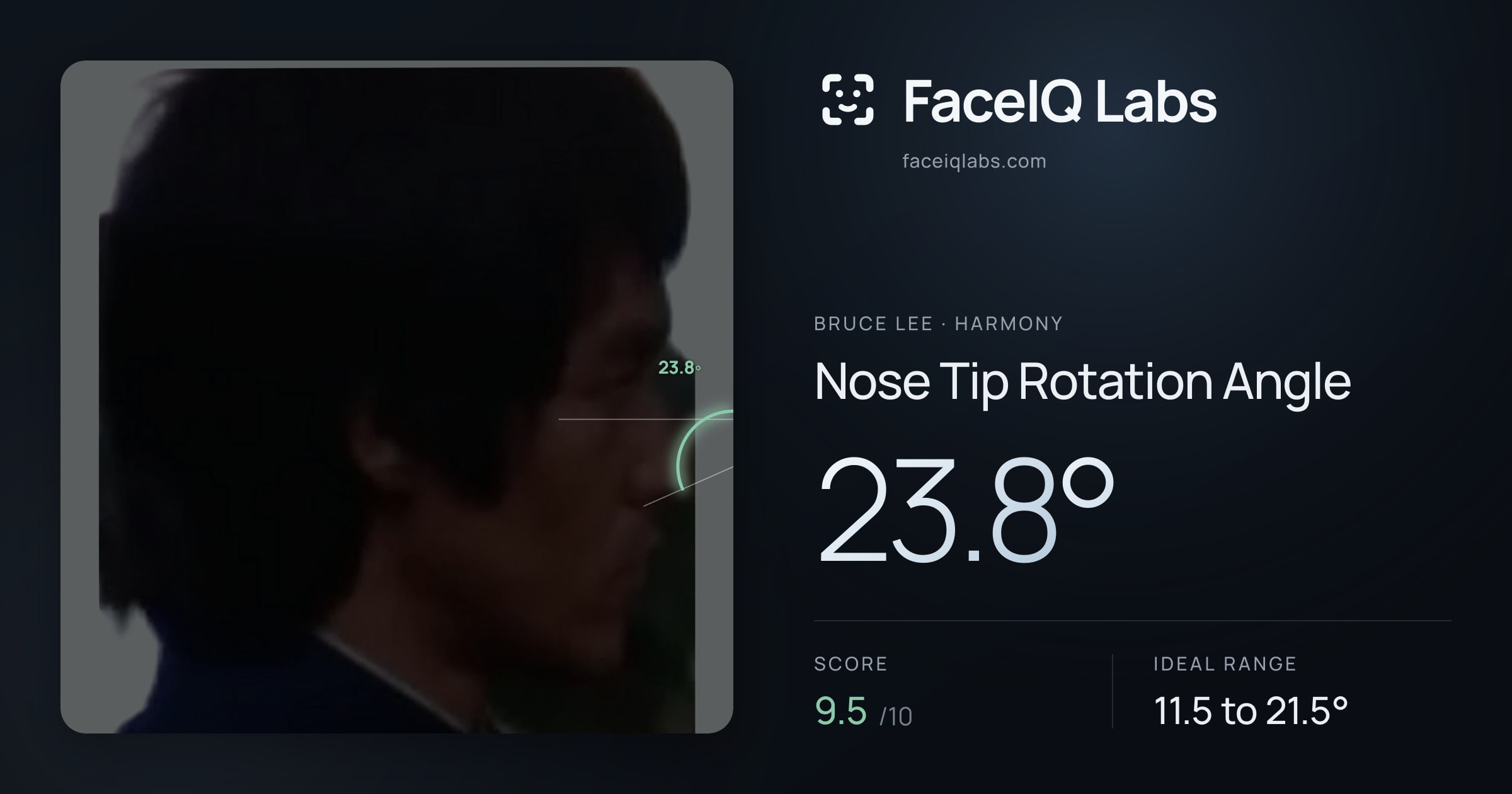 Bruce Lee Nose Tip Rotation Angle: 23.8°, drawn on the photo