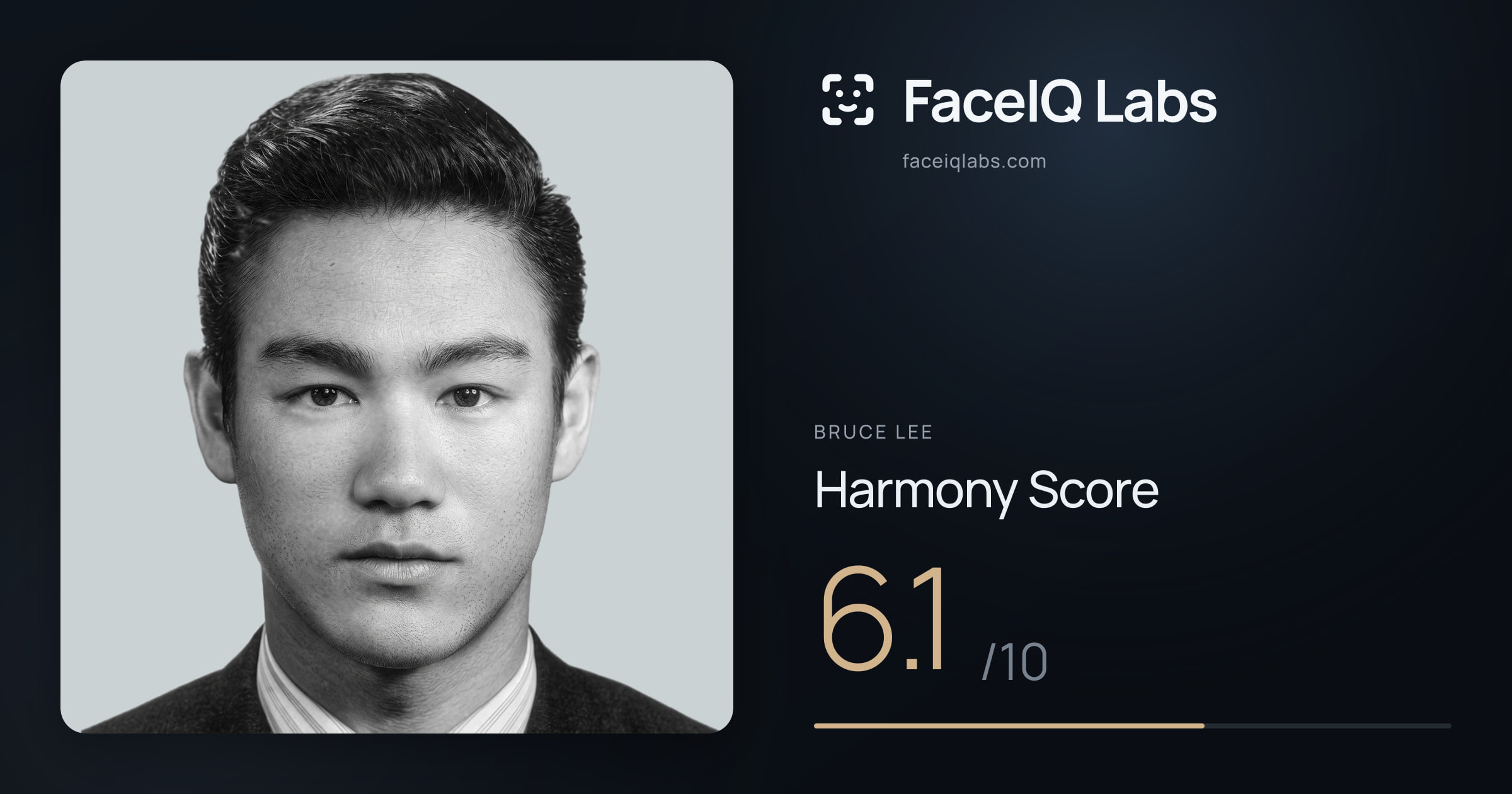 Bruce Lee Harmony: 6.1/10, with each ratio's score