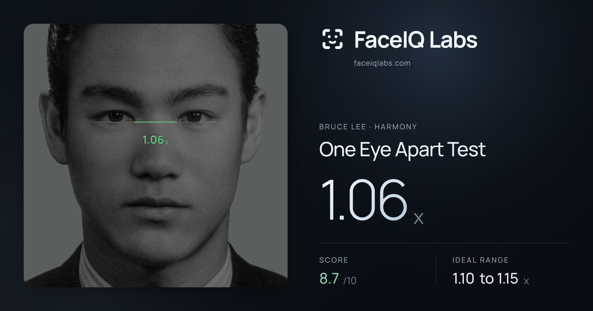 Bruce Lee One Eye Apart Test: 1.06x, drawn on the photo