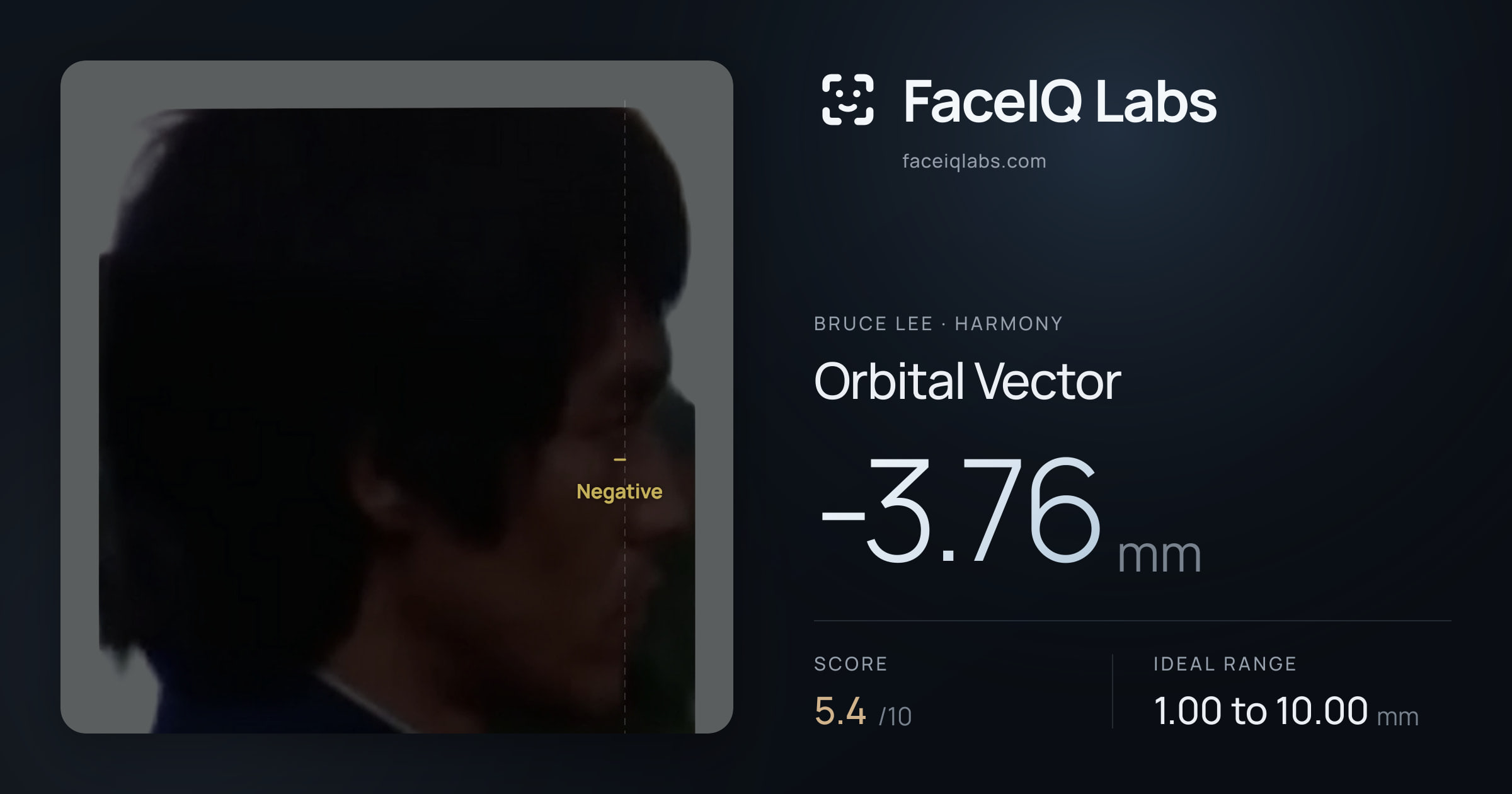 Bruce Lee Orbital Vector: -3.76mm, drawn on the photo