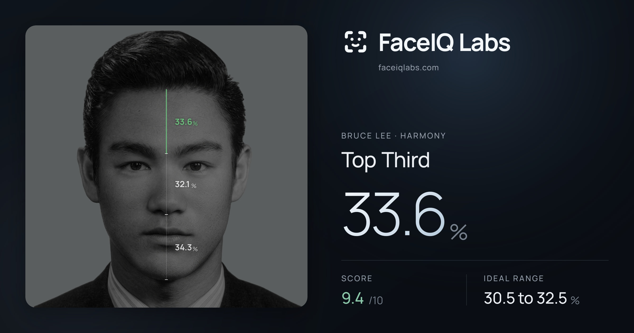 Bruce Lee Top Third: 33.6%, drawn on the photo