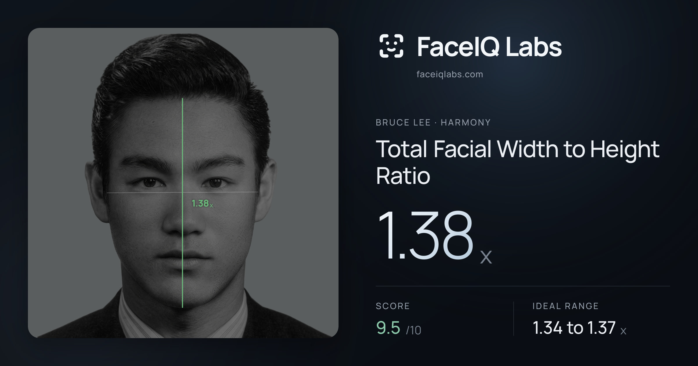 Bruce Lee Total Facial Width to Height Ratio: 1.38x, drawn on the photo