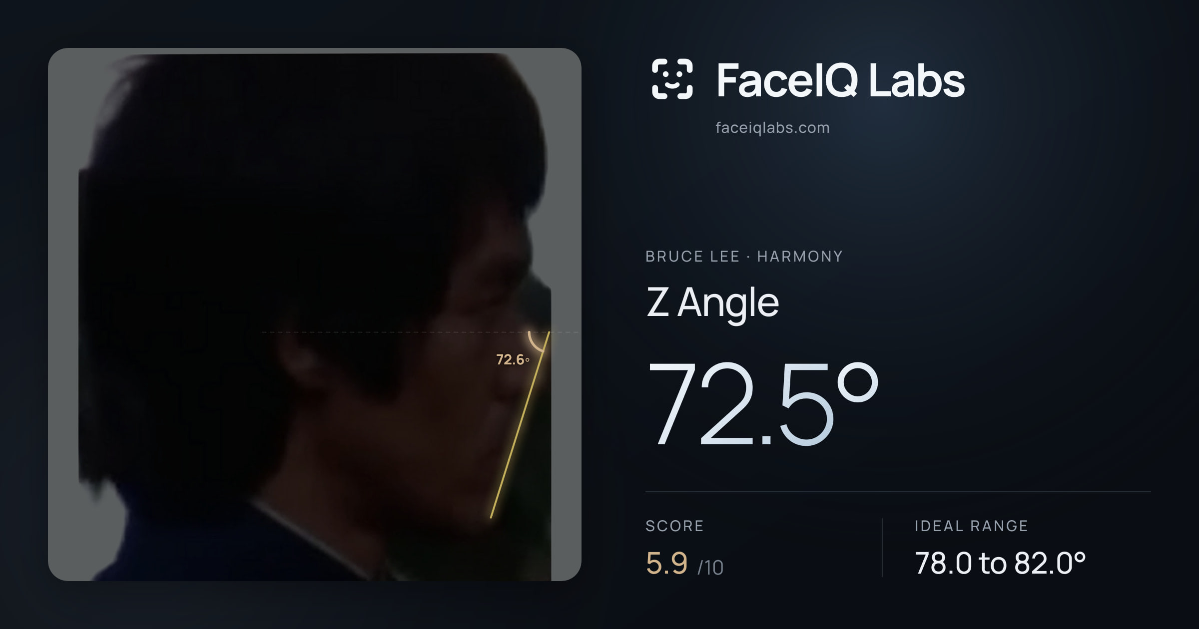 Bruce Lee Z Angle: 72.5°, drawn on the photo