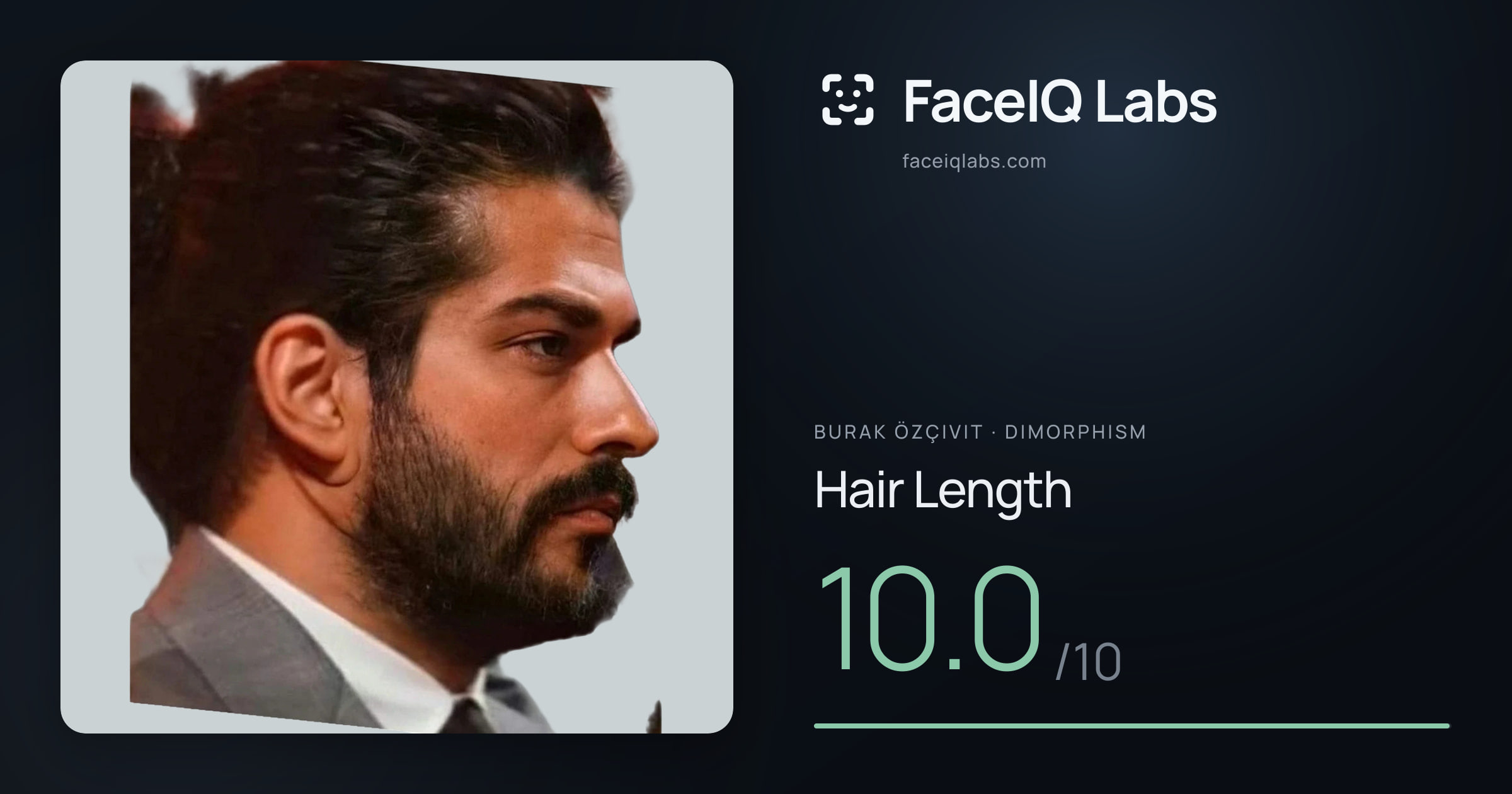 Burak Özçivit Hair Length: 10.0/10, drawn on the photo