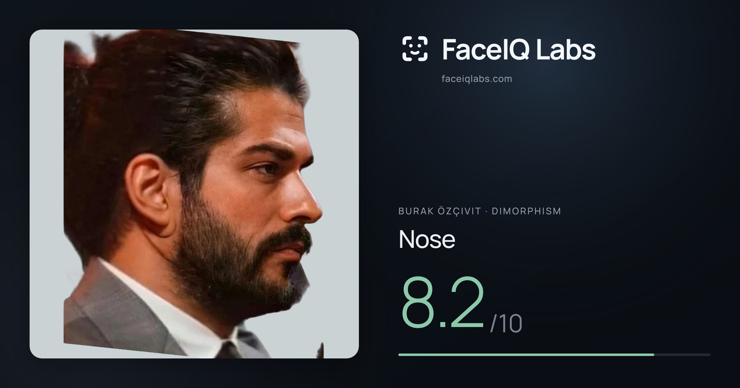 Burak Özçivit Nose: 8.2/10, drawn on the photo