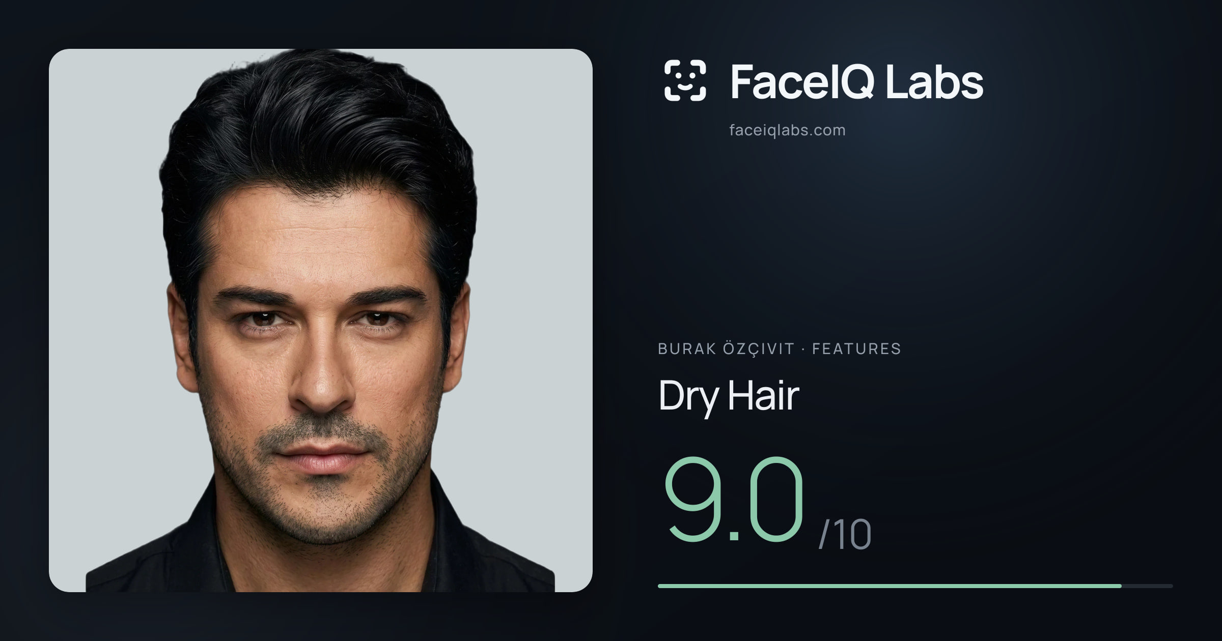 Burak Özçivit Dry Hair: 9.0/10, drawn on the photo