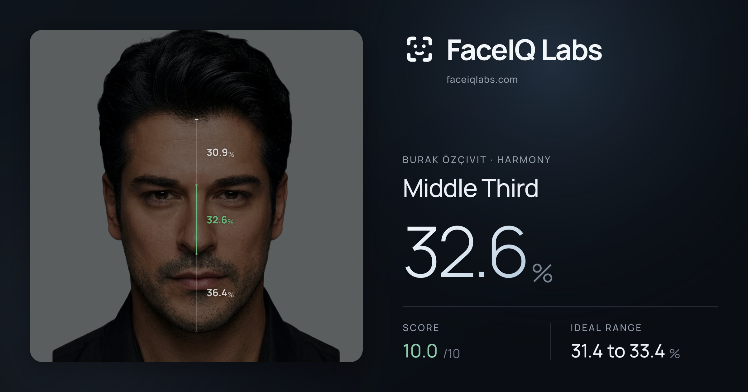 Burak Özçivit Middle Third: 32.6%, drawn on the photo