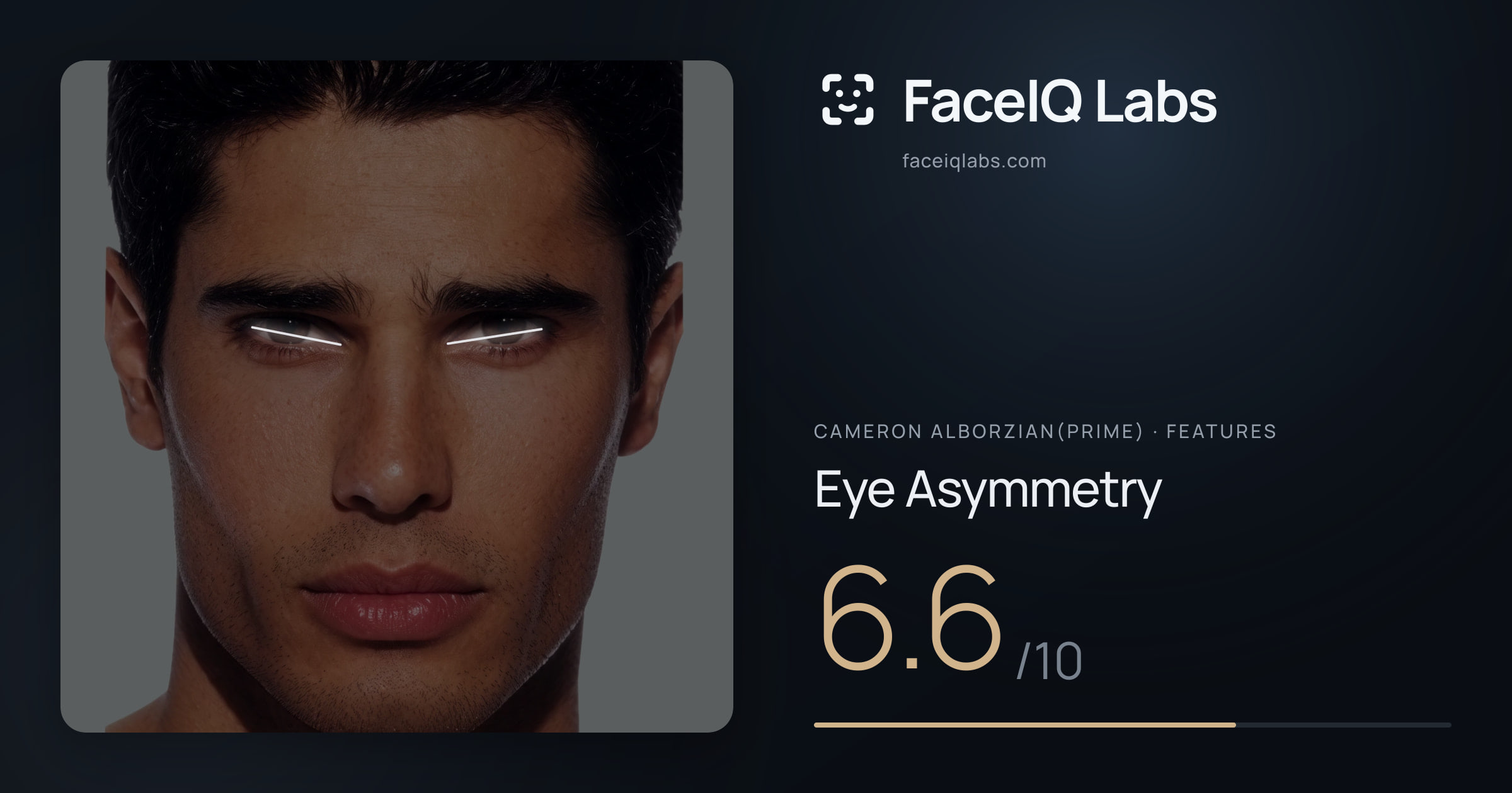 Cameron Alborzian(Prime) Eye Asymmetry: 6.6/10, drawn on the photo