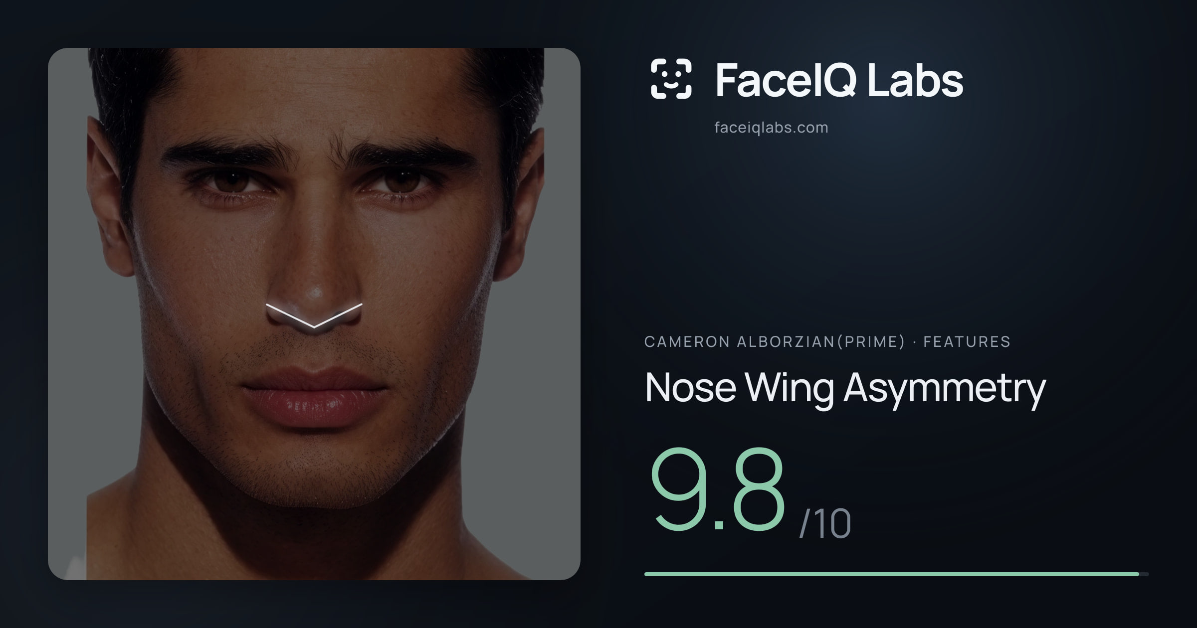 Cameron Alborzian(Prime) Nose Wing Asymmetry: 9.8/10, drawn on the photo