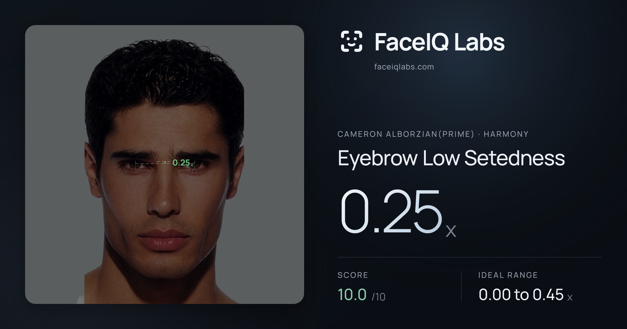 Cameron Alborzian(Prime) Eyebrow Low Setedness: 0.25x, drawn on the photo