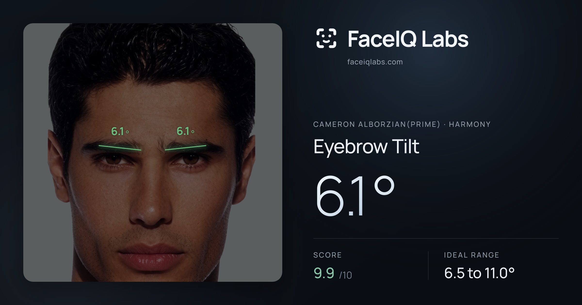 Cameron Alborzian(Prime) Eyebrow Tilt: 6.1°, drawn on the photo