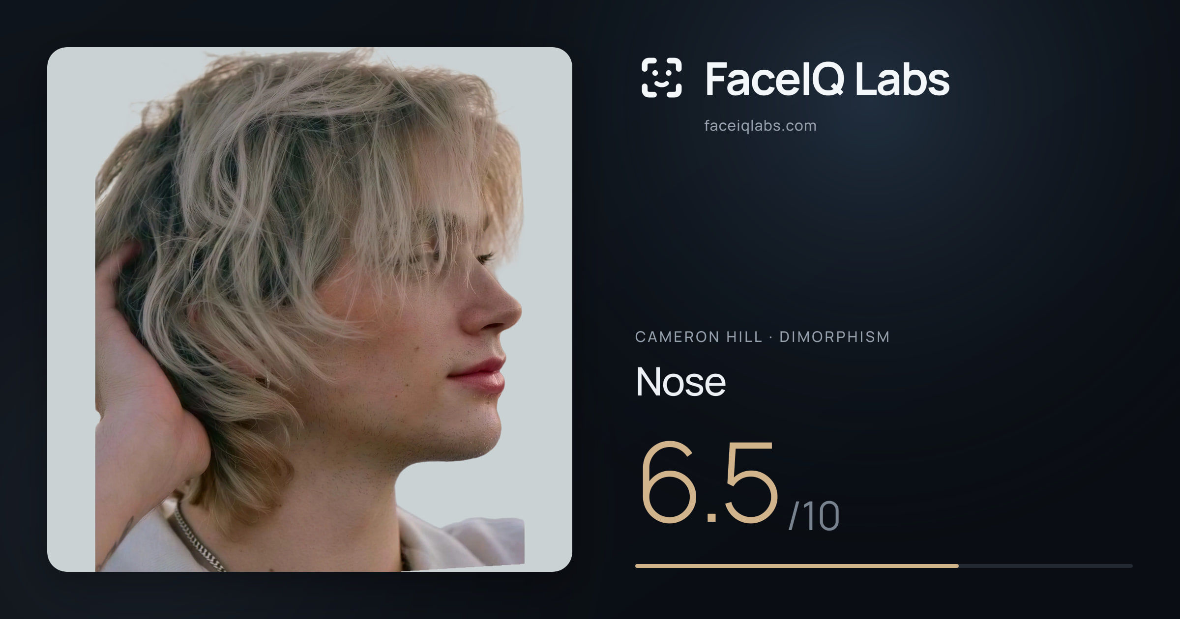 Cameron Hill Nose: 6.5/10, drawn on the photo