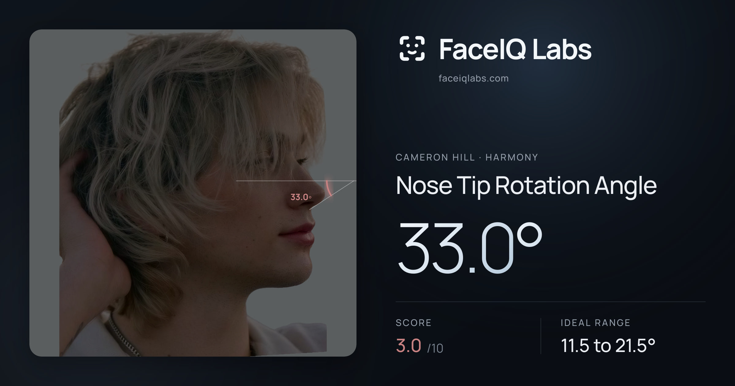Cameron Hill Nose Tip Rotation Angle: 33.0°, drawn on the photo