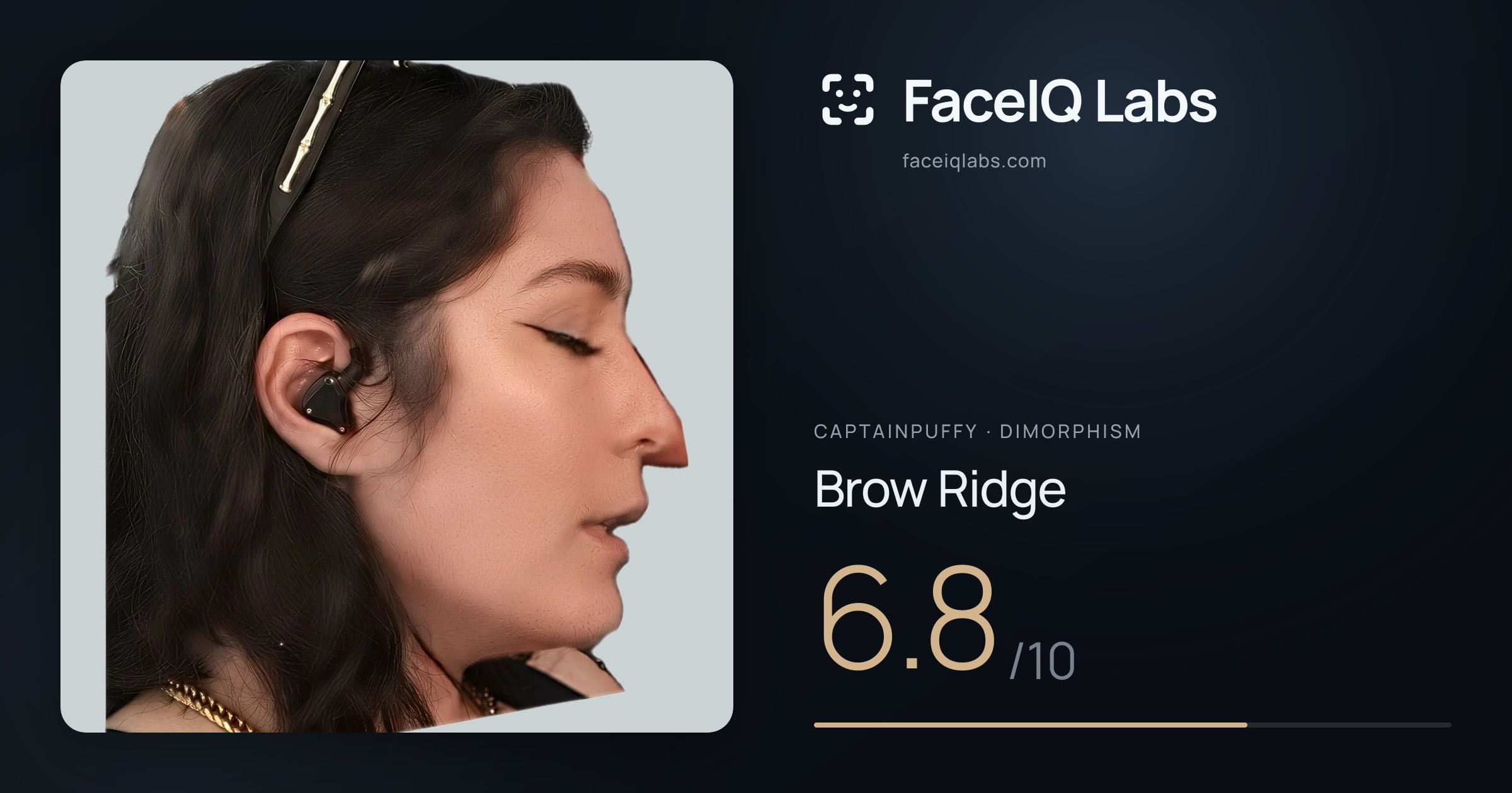 CaptainPuffy Brow Ridge: 6.8/10, drawn on the photo